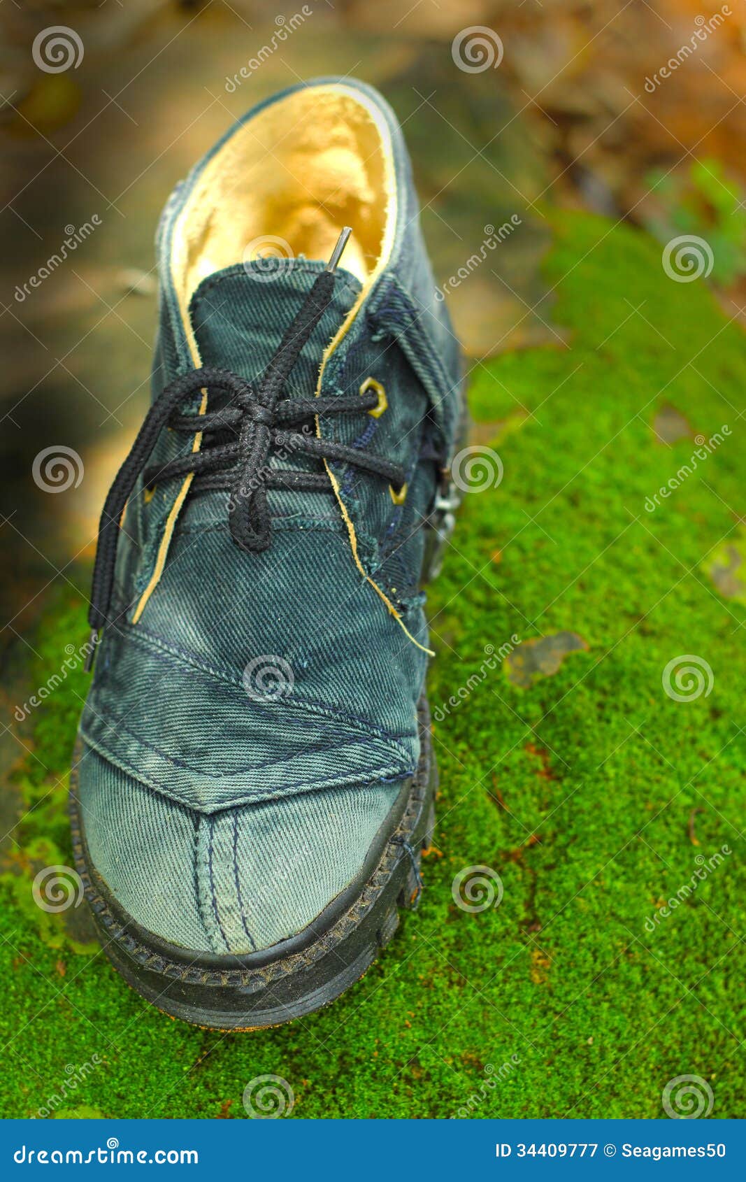 Old Shoe in the Grass Green Moss. Stock Image Image of worn, shoes