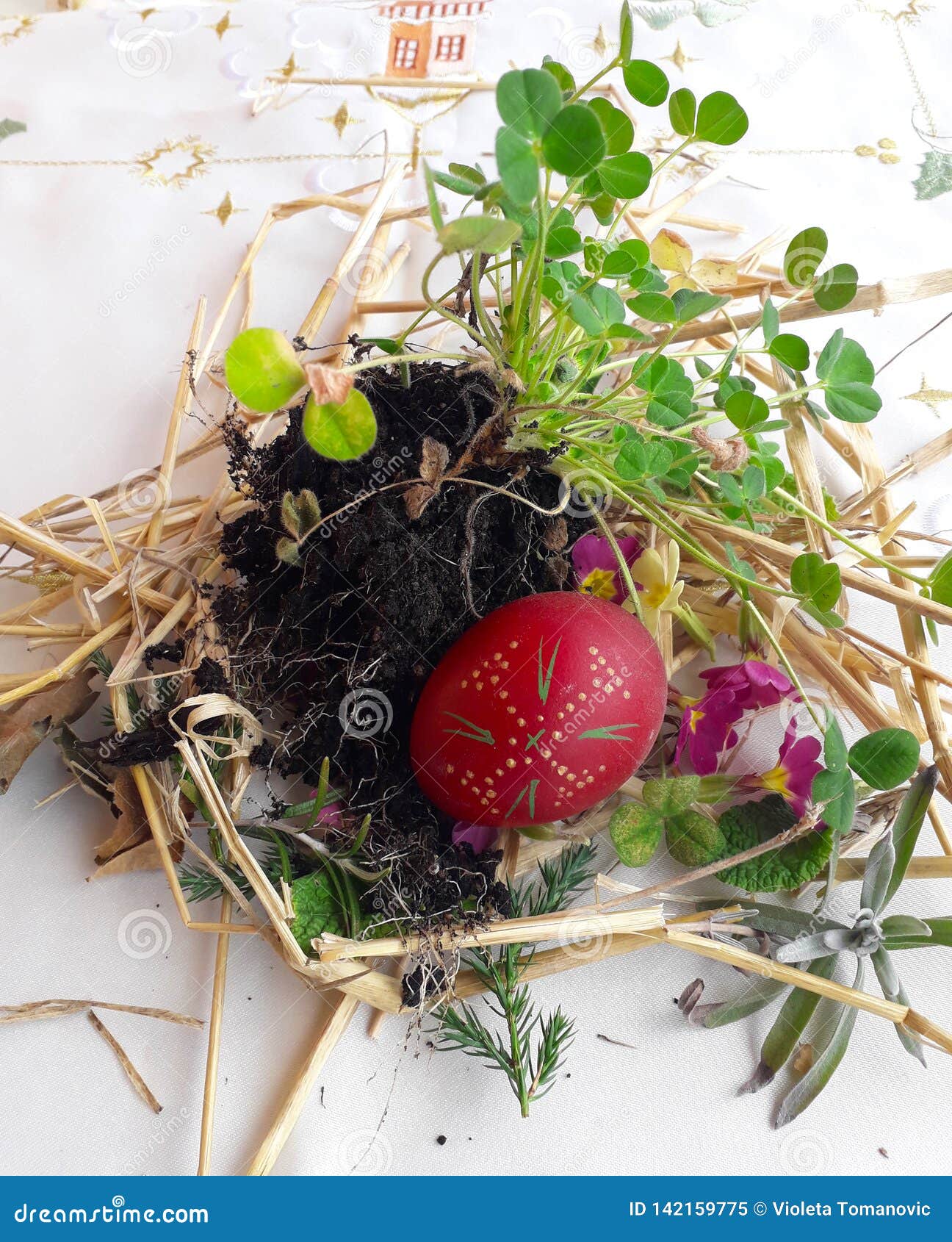 old slavic orthodox pagan ritual of fertility. preparing to burring easter egg in the meadow, first row in the field before sowing