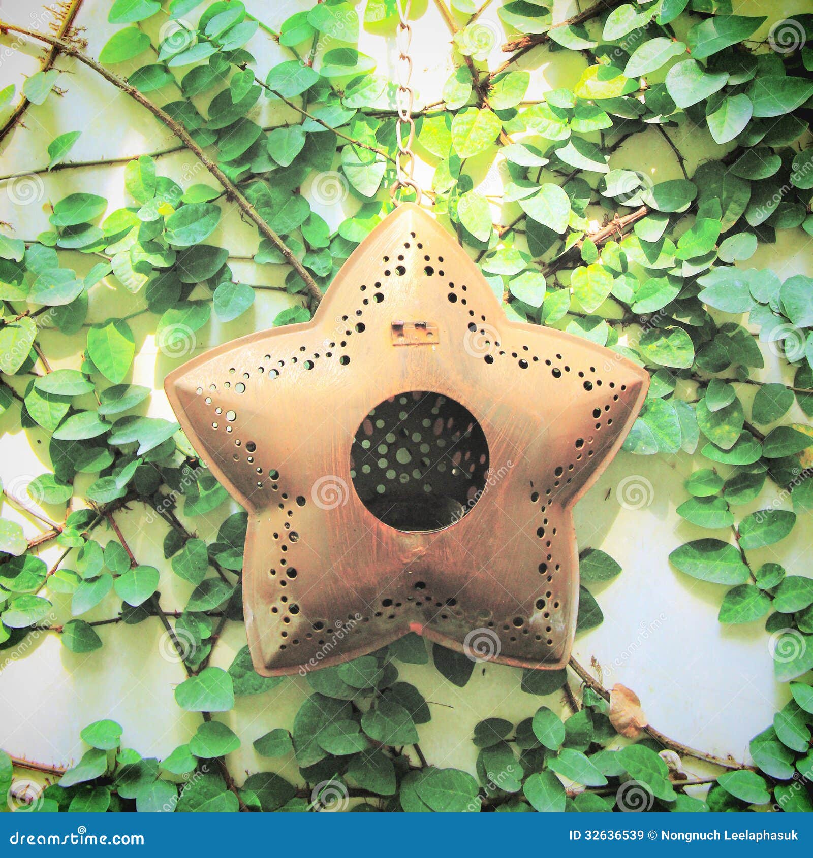 Old Star Hanging for on Ivy Wall with Retro Effect Stock Image Image