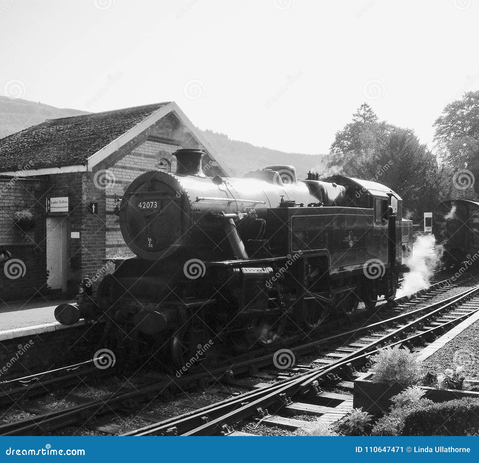 Welsh Steam Train Locomotive Editorial Photo - Image of train, retro ...
