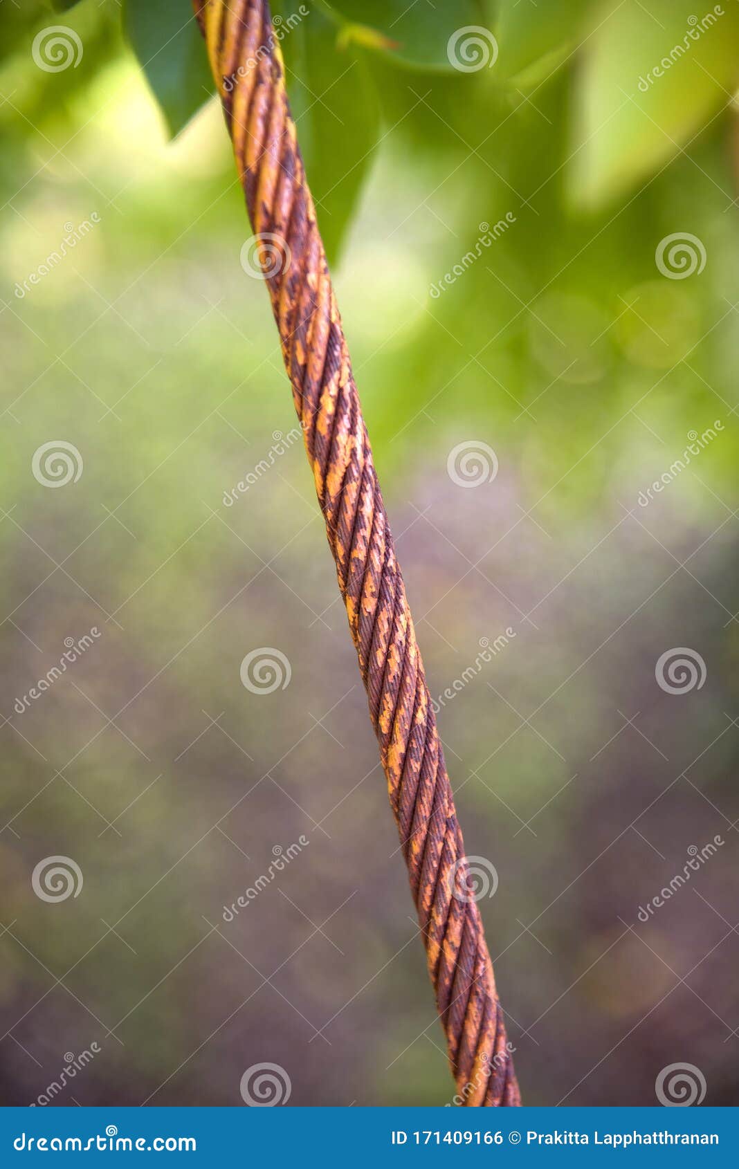 Old Steel Cable Wires and Rusting Stock Photo Image of heavy, alloy