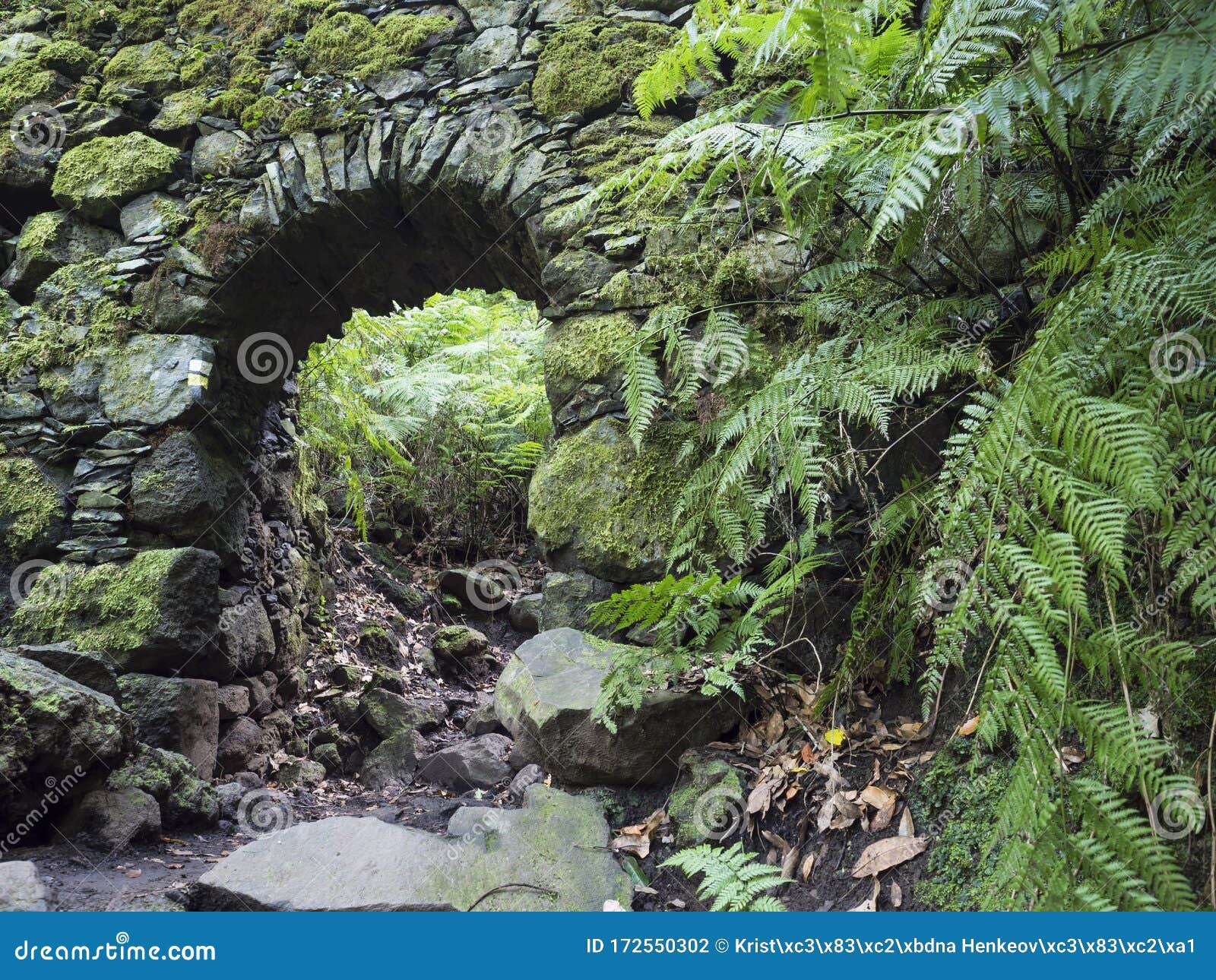 old stone aqueduct, water duct arc at cubo de la galga nature park, path in beautiful mysterious laurel forest