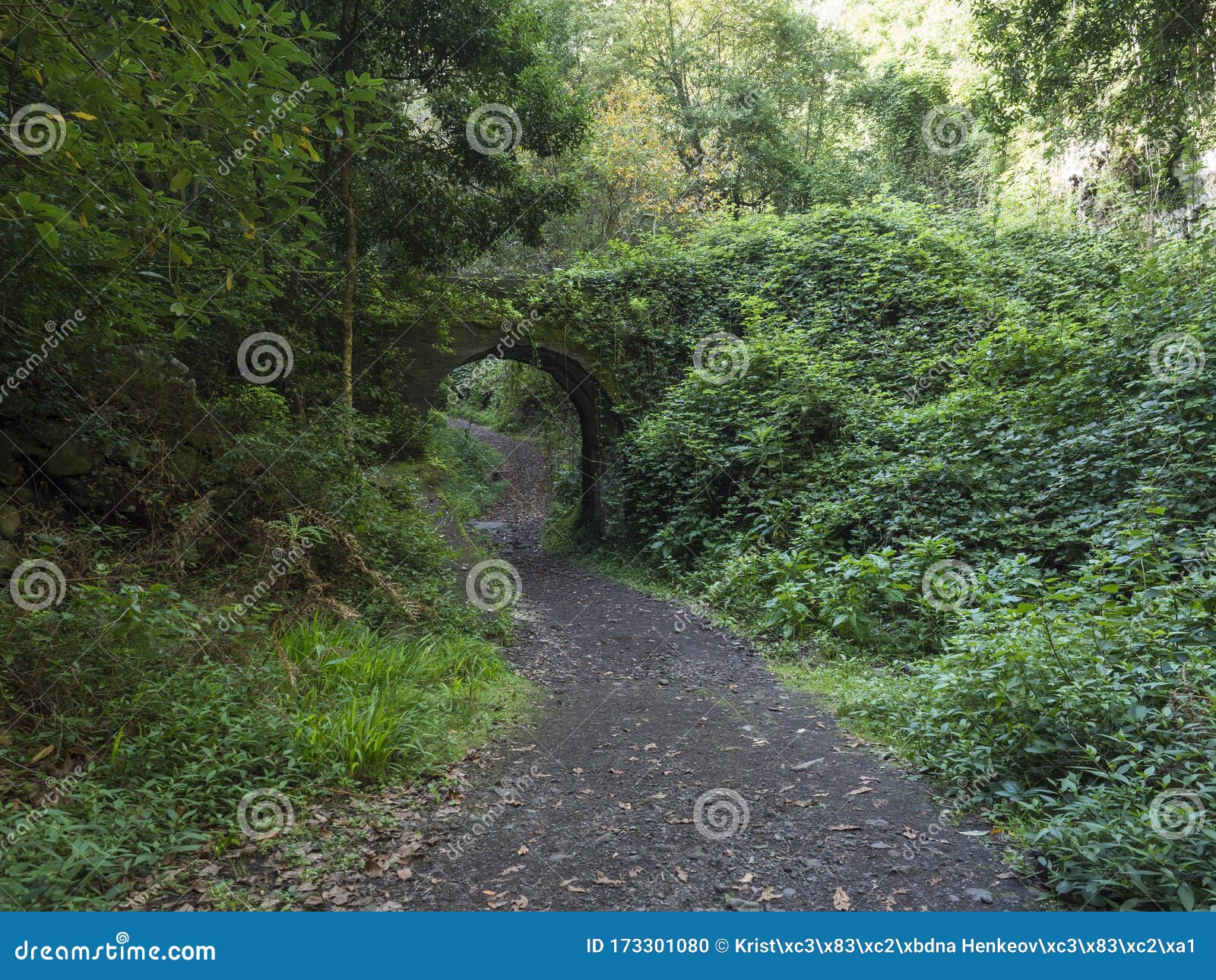 old stone aqueduct, water duct arc at cubo de la galga nature park, path in beautiful mysterious laurel forest