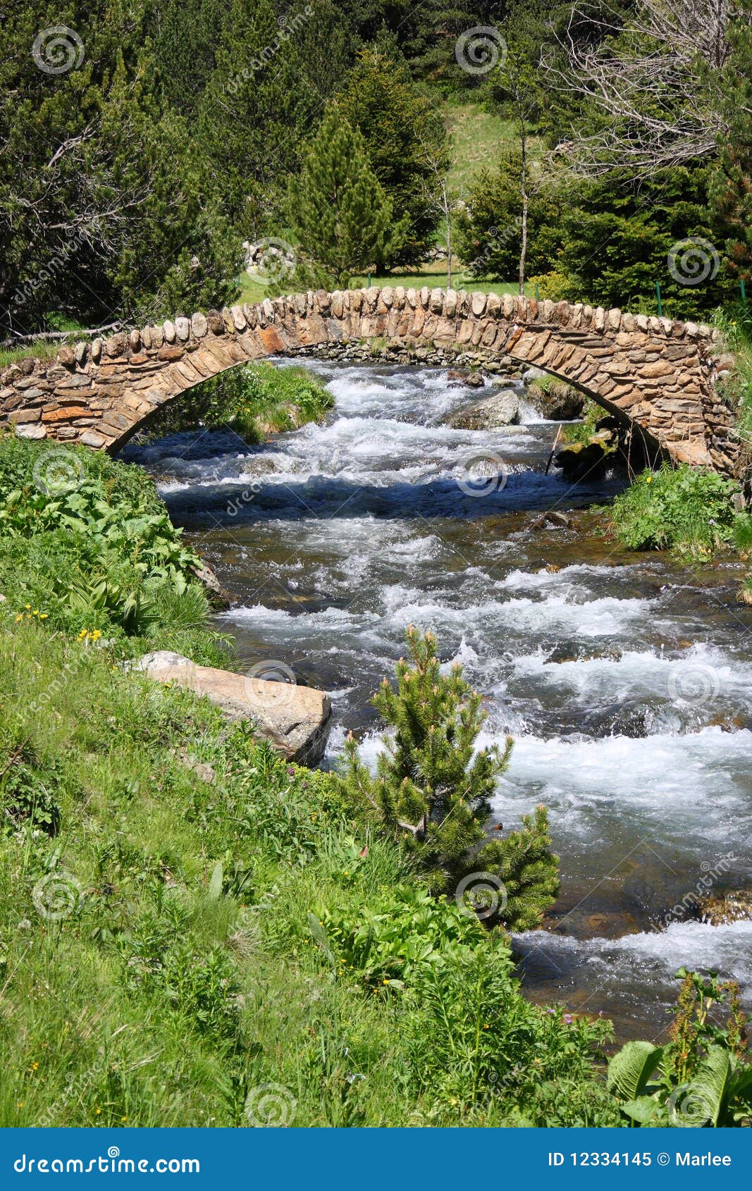 old stone bridge. vall de ransol (andorra)