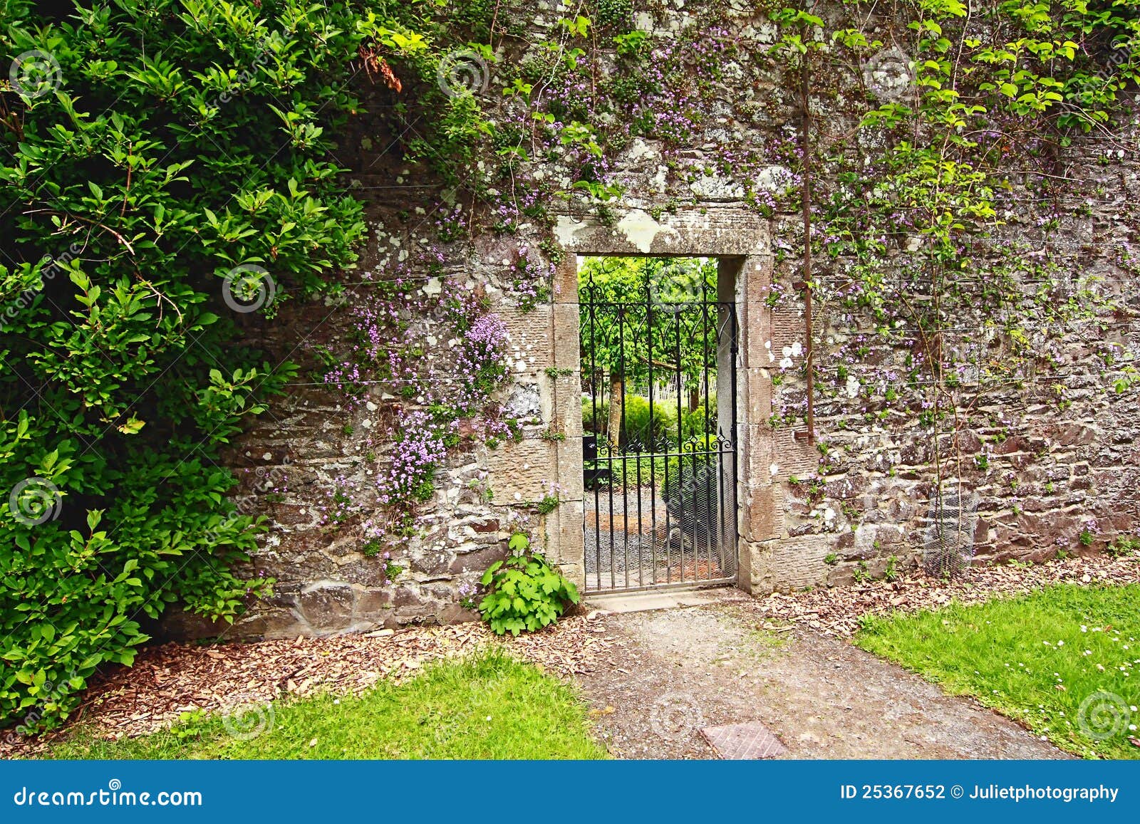 old stone garden wall 25367652