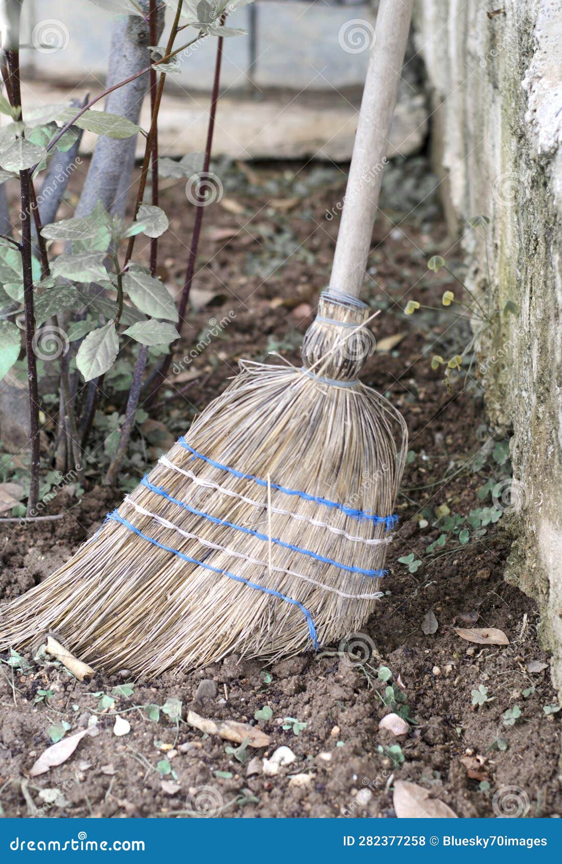 Old Straw Broom in the Garden Stock Photo Image of straw, nature