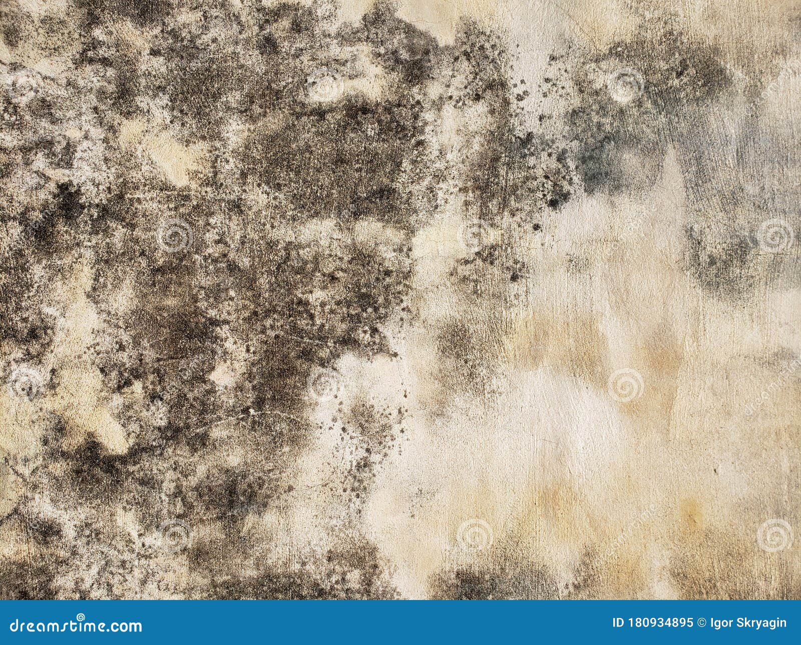 Old stucco with mold stock image. Image of bricks, glancing 180934895