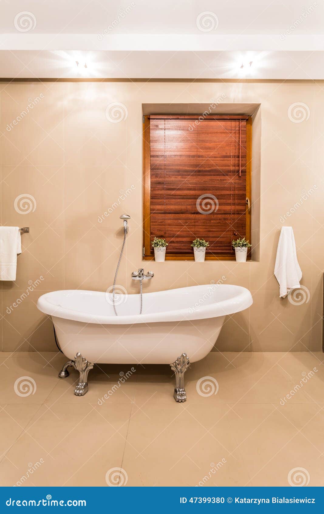 Old style bathtub stock photo. Image of cozy, marble 47399380