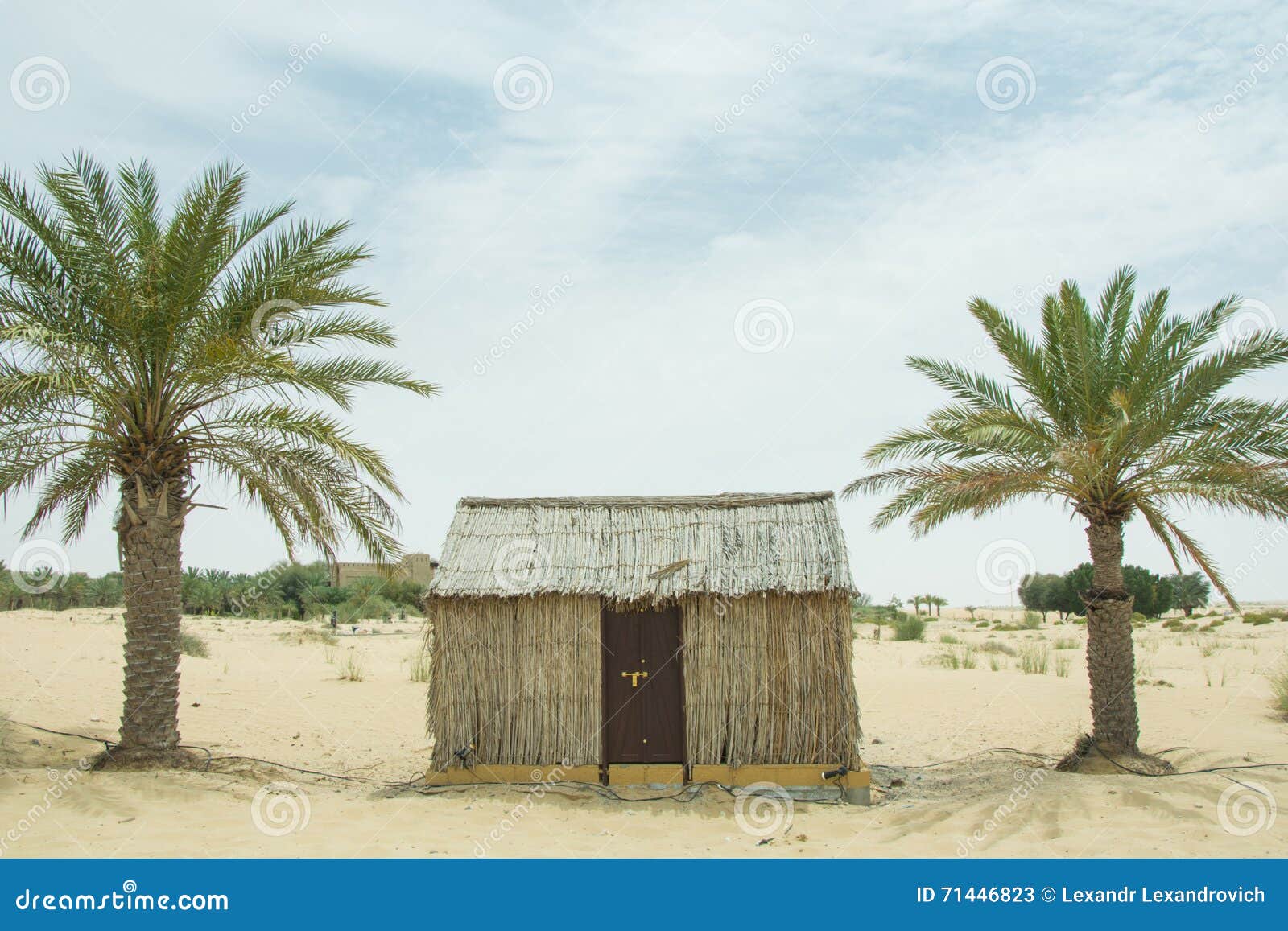 old-style-village-arabic-small-wooden-houses-desert-palm-trees-uae-71446823.jpg