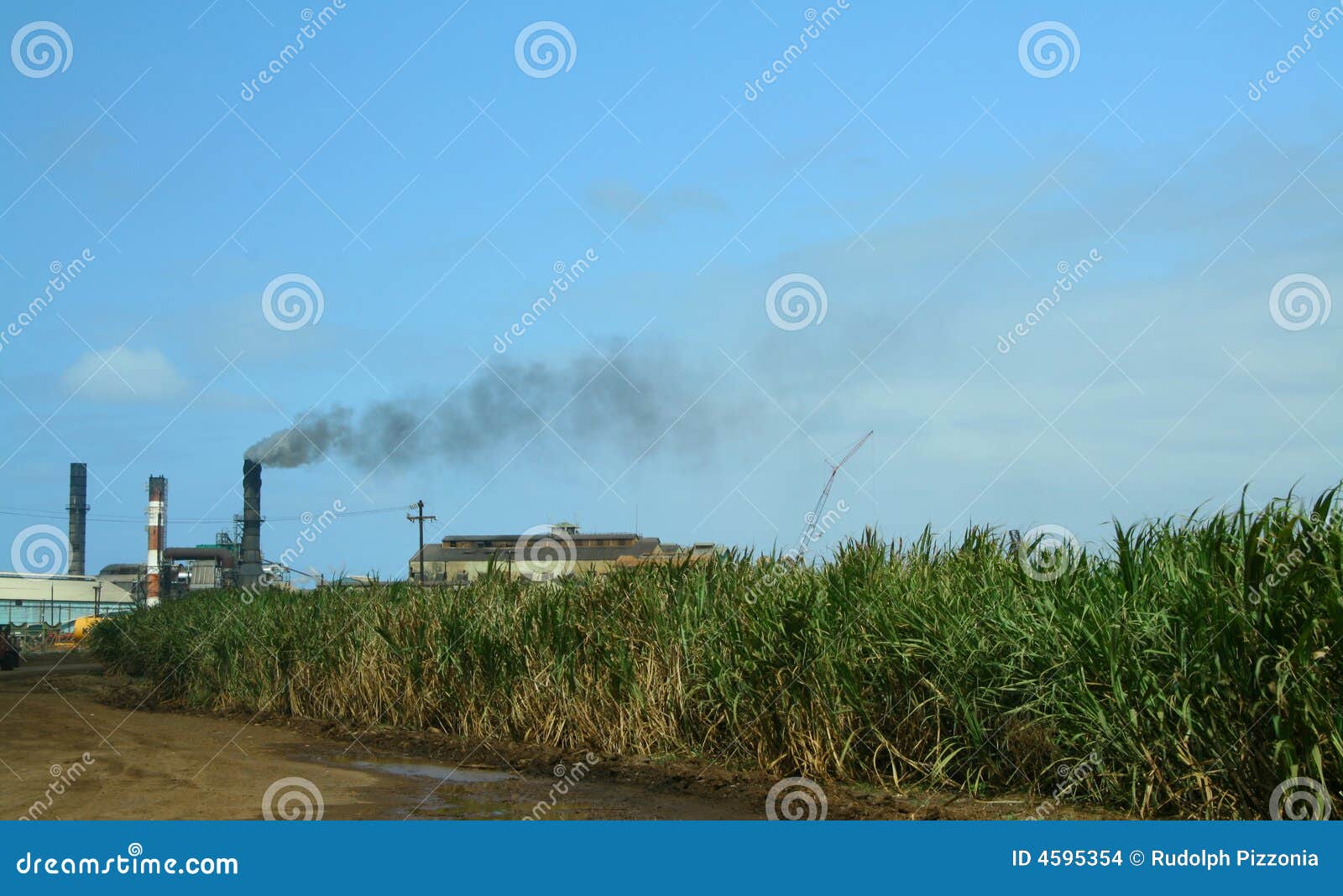 Old Sugar Mill & Sugar Cane Field Stock Photo Image of processing