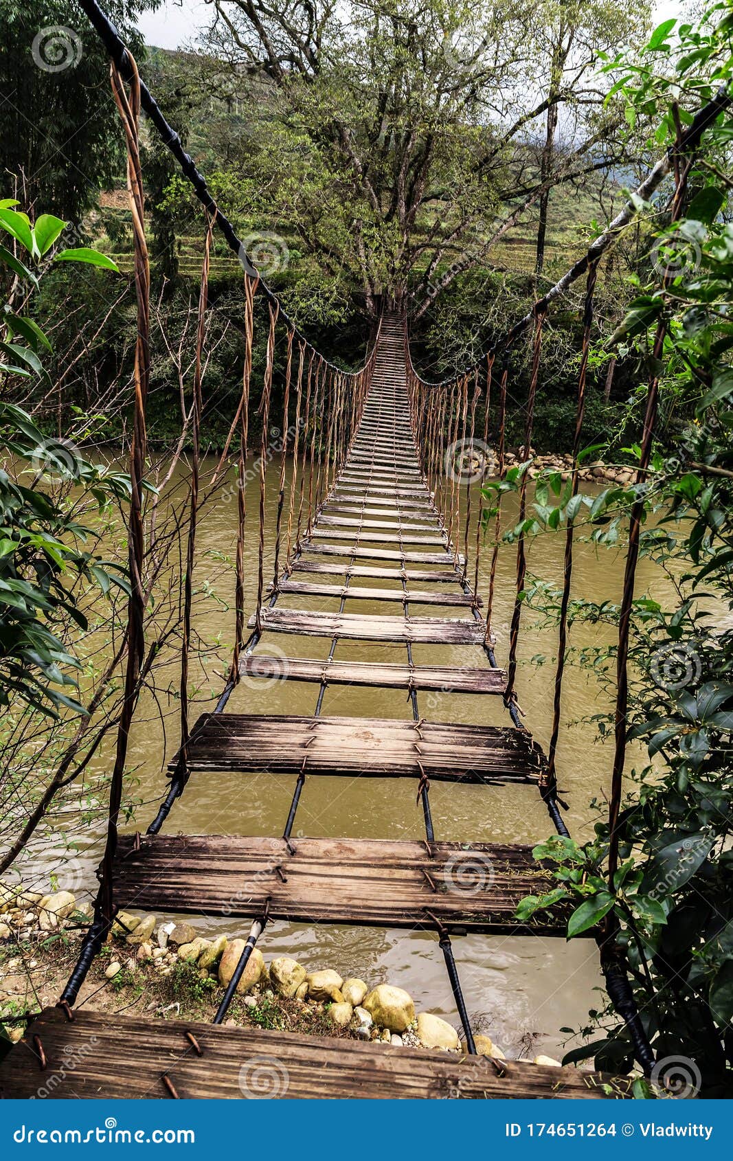 Old Suspension Bridge River Tropical Forest Stock Photo - Image of hanging,  building: 174651264