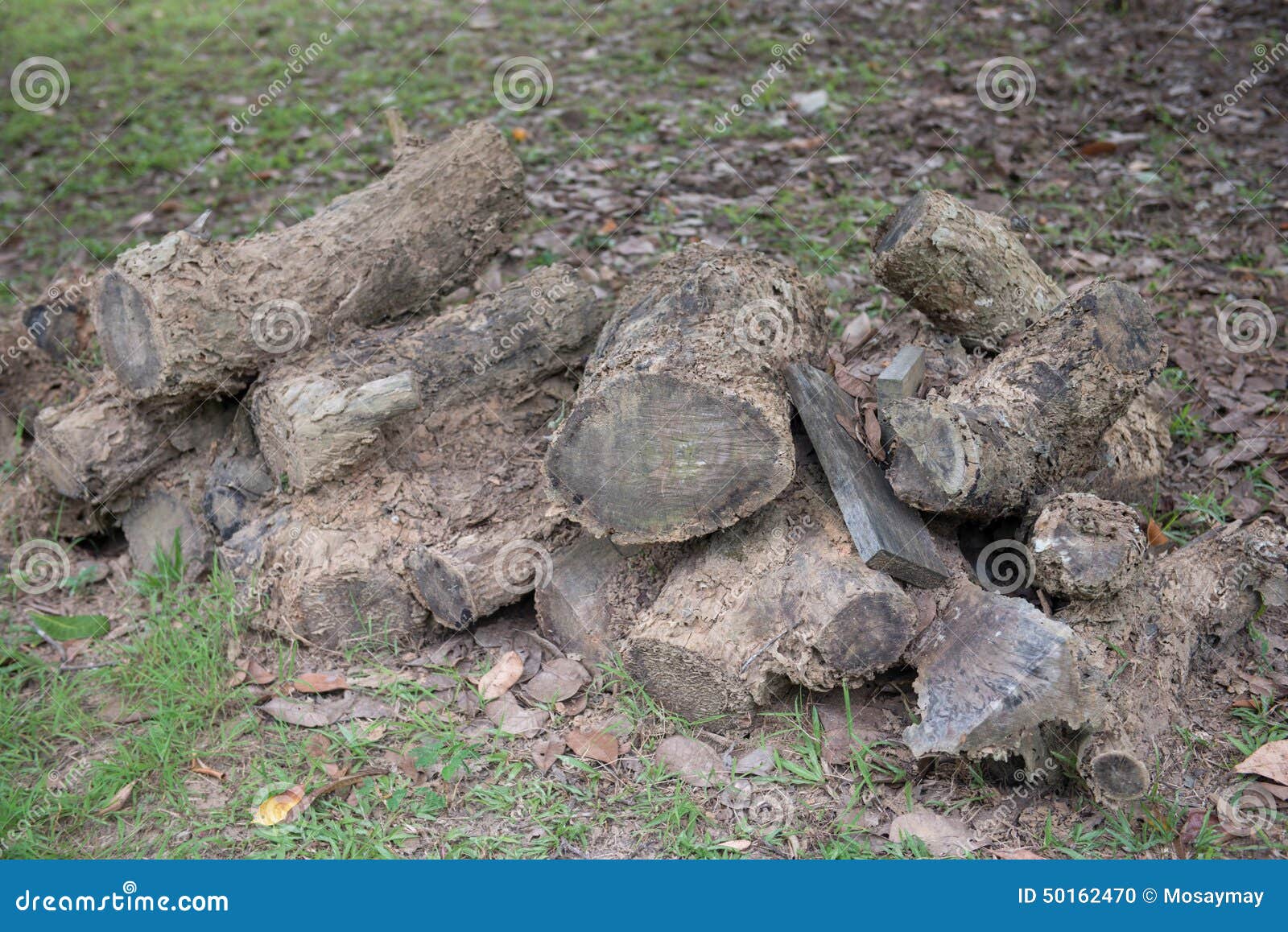 Old Timber Piles in the Garden Stock Photo Image of timber, material