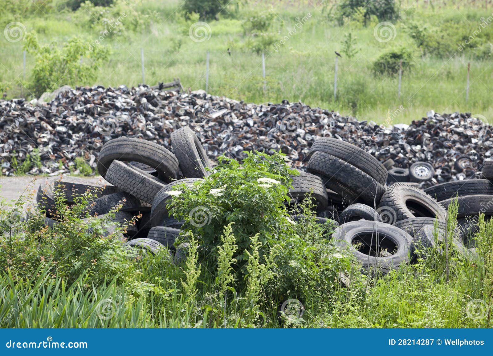 Old tires in the nature stock image. Image of pollute 28214287