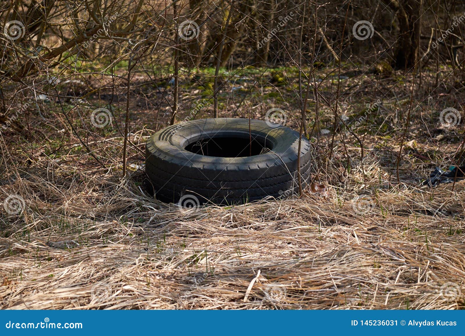 Old tires pollute nature stock image. Image of shrubs 145236031