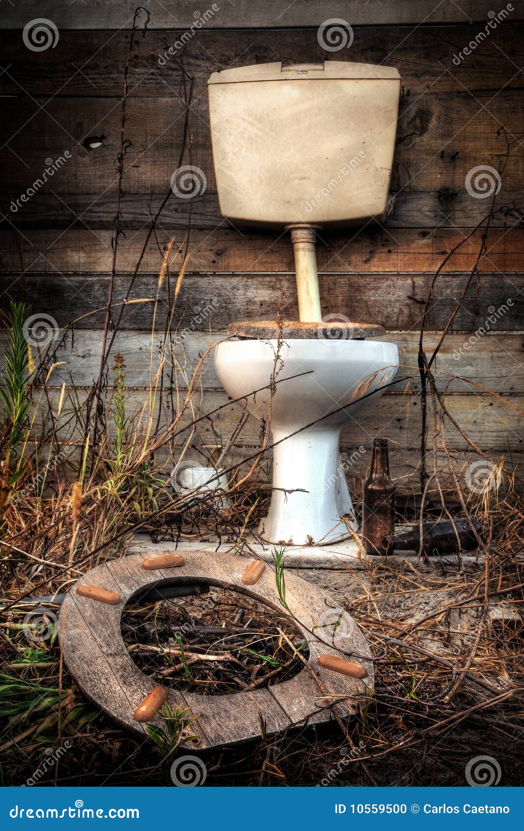 Old Toilet stock photo. Image of mottled, abandoned, materials 10559500