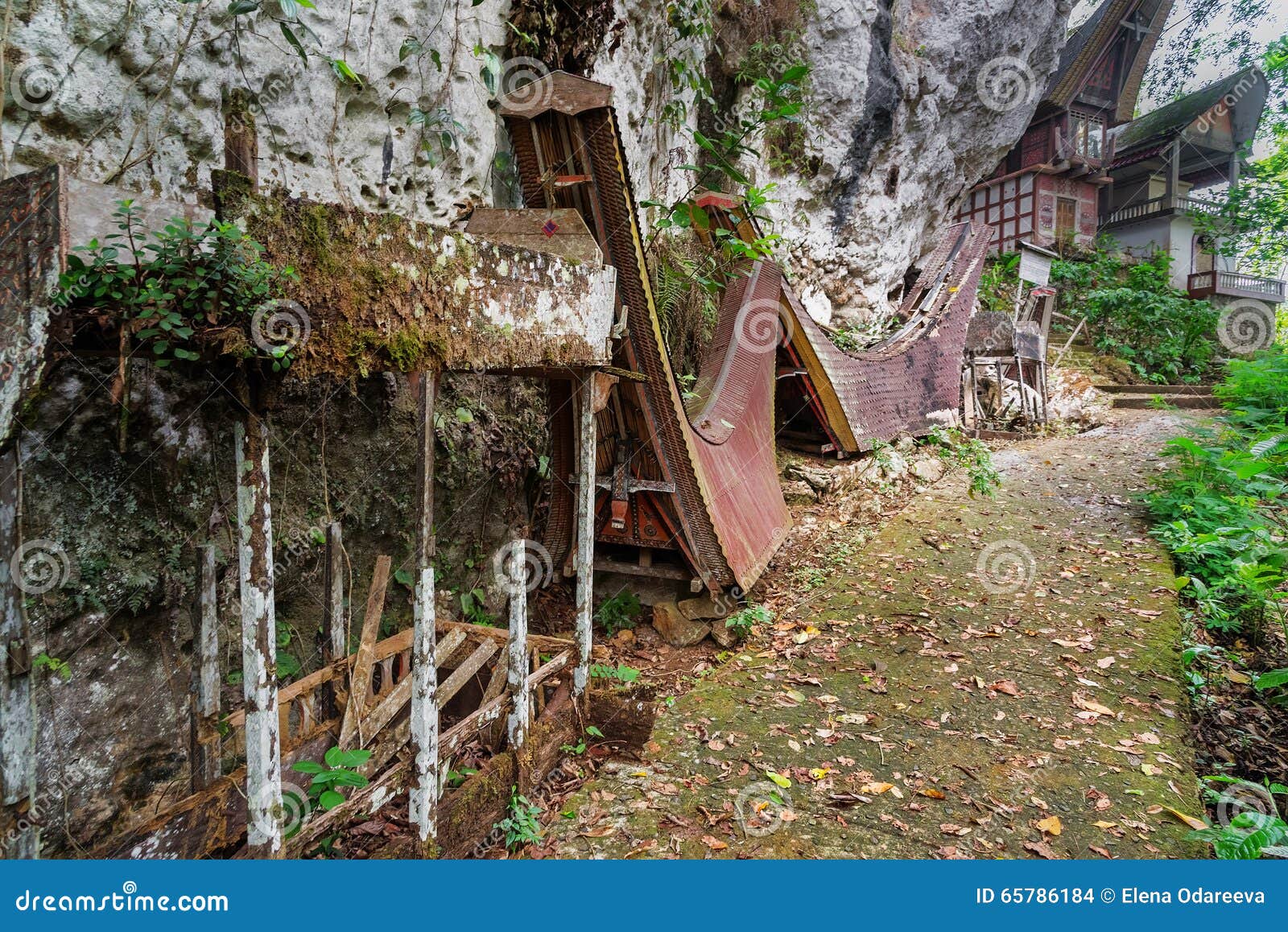 Old Toraja Traditional Funeral Bier Stock Photo Image Of Afterlife Asia