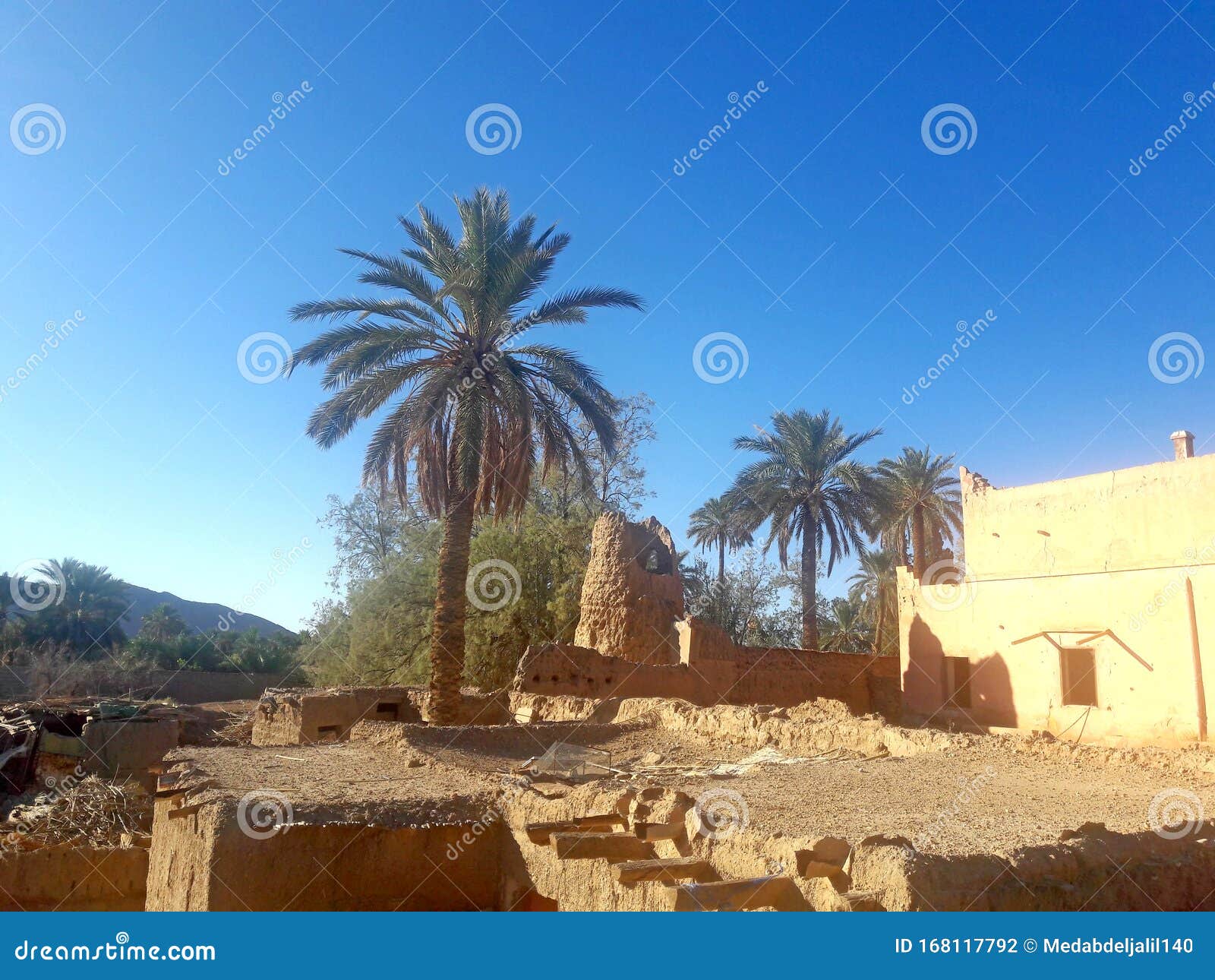 An Old Tower Standing In A Garden Of Palm Trees In The Oasis Of