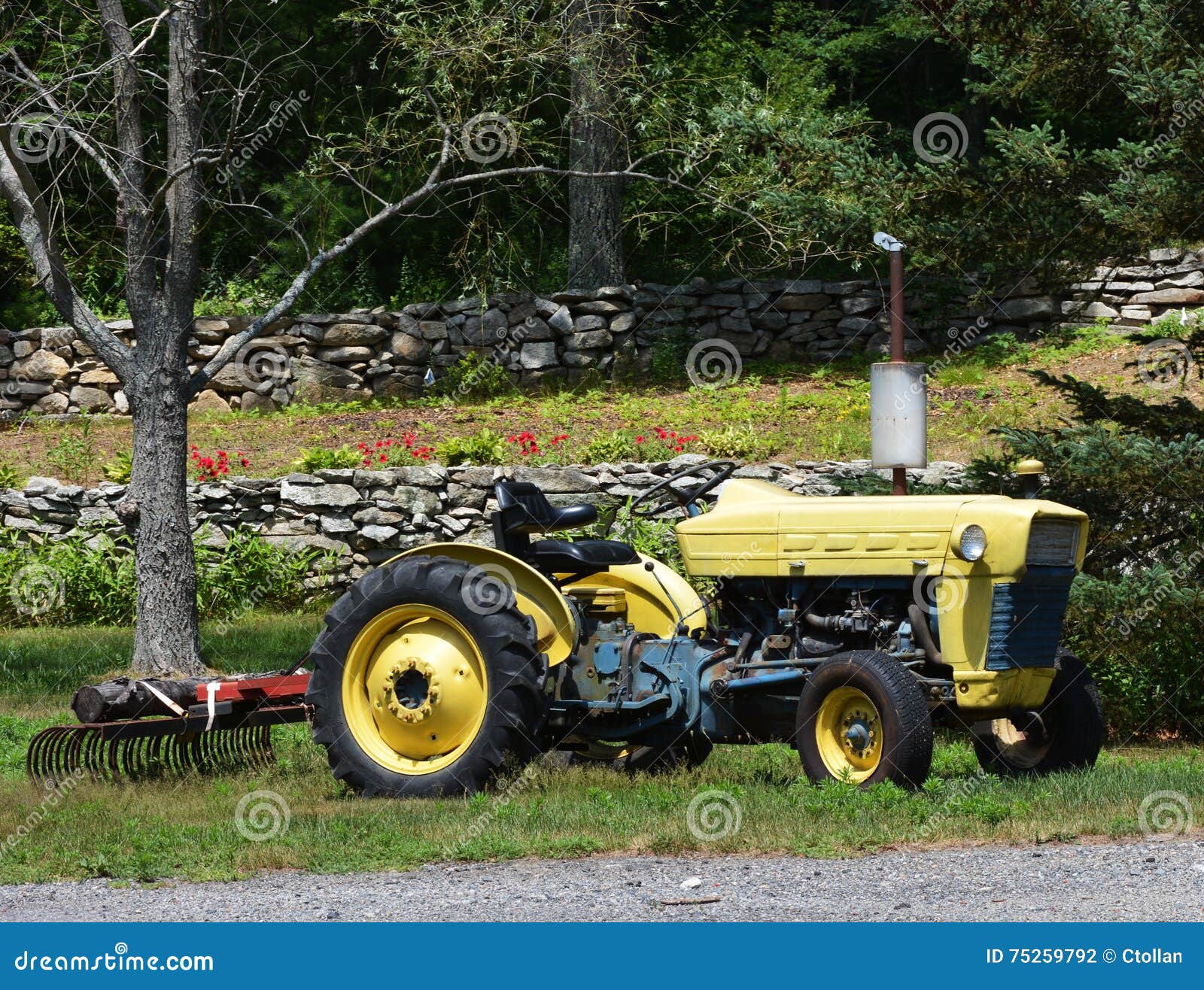 Old Yellow Tractor stock photo. Image of farming, power 75259792