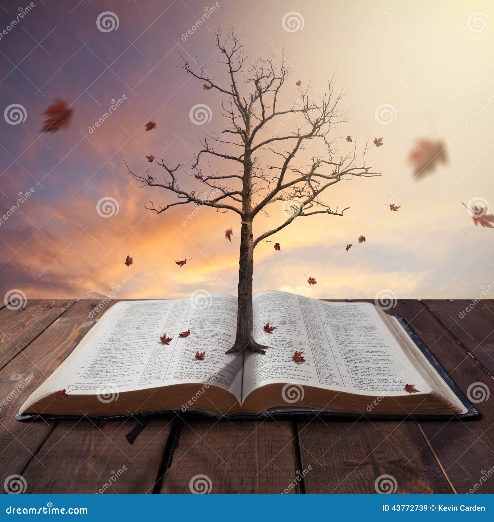 Old tree in Bible stock image. Image of branch, falling 43772739