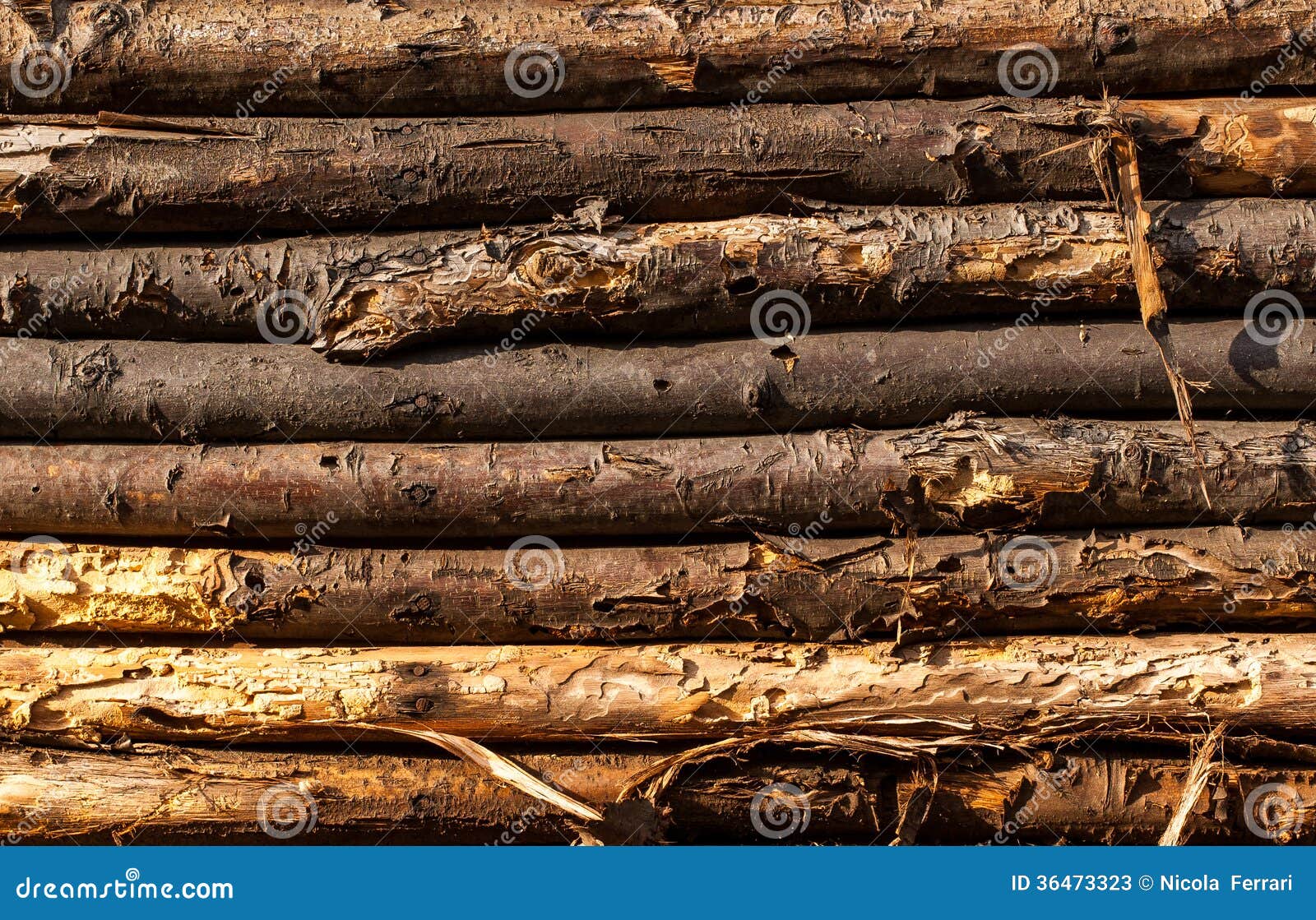 Old tree logs in a wooden wall