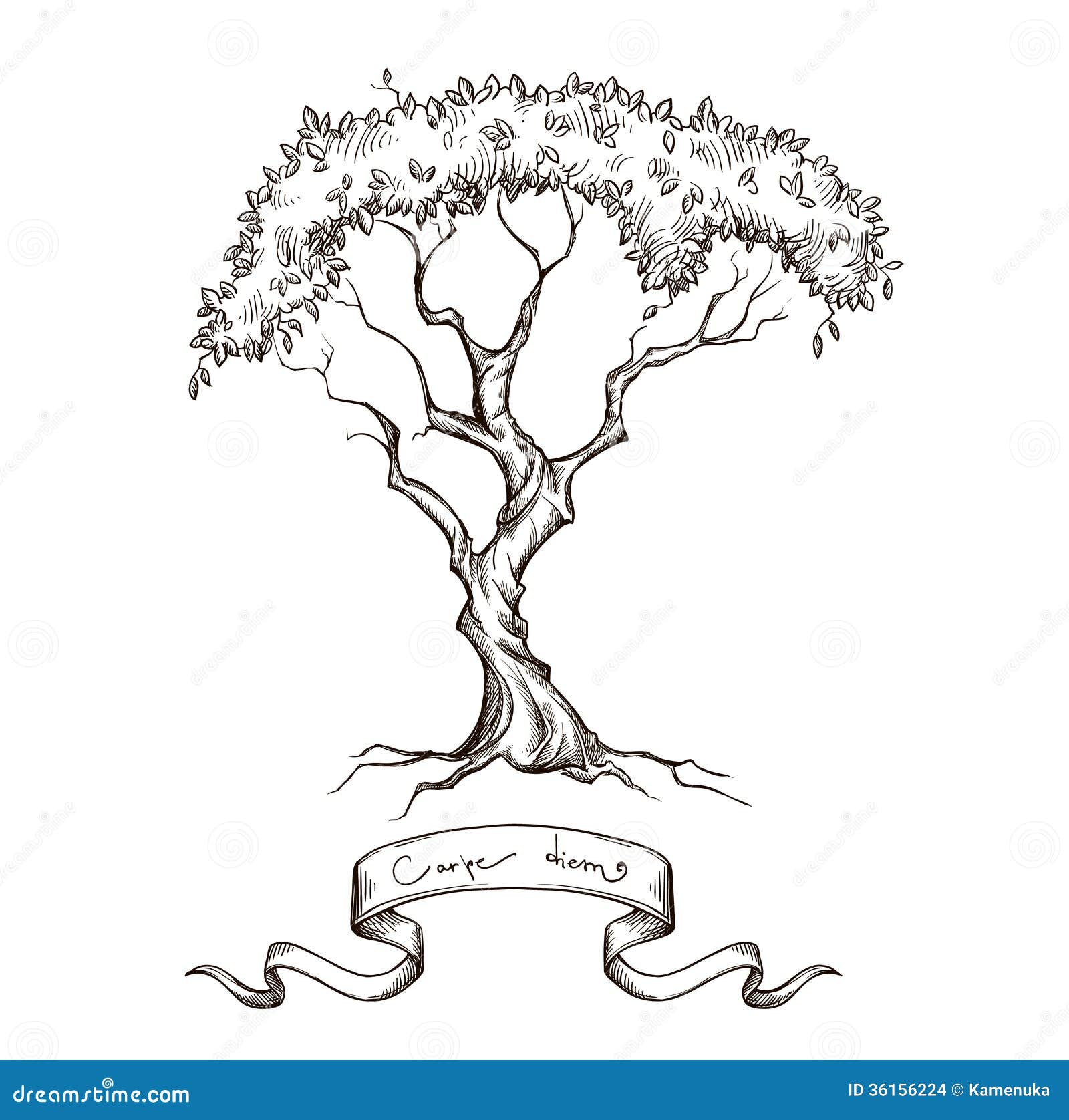 Old Tree with Ribbon Banner Hand Drawn Stock Vector Illustration of