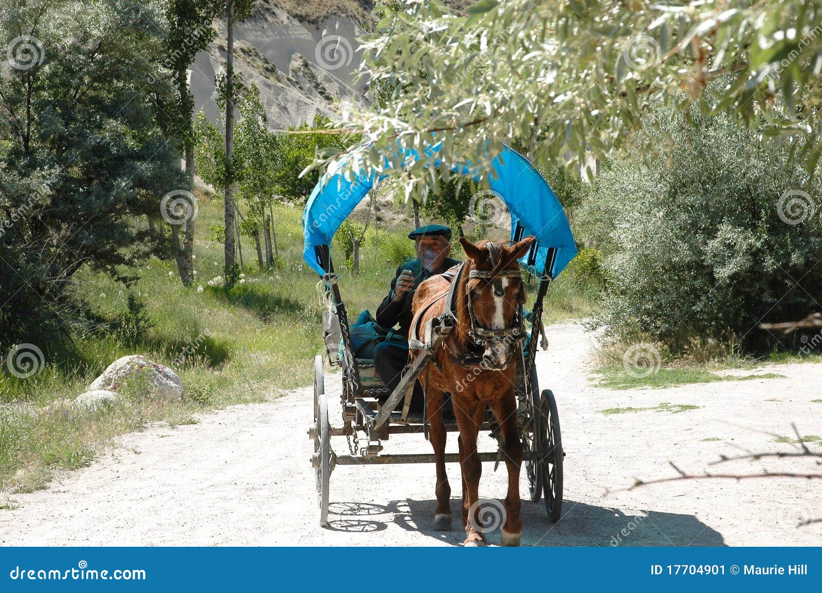 Old Turkish Farmer Driving Horse & Buggy Editorial Photo Image of