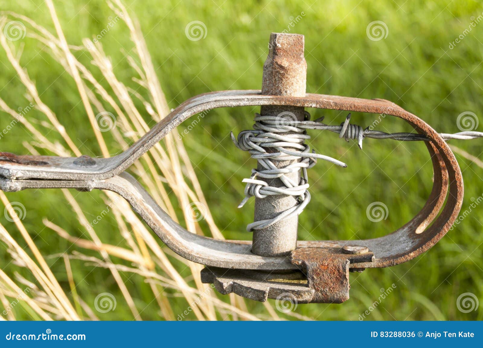 Old turnbuckle stock photo. Image of field, wire, turnbuckle 83288036