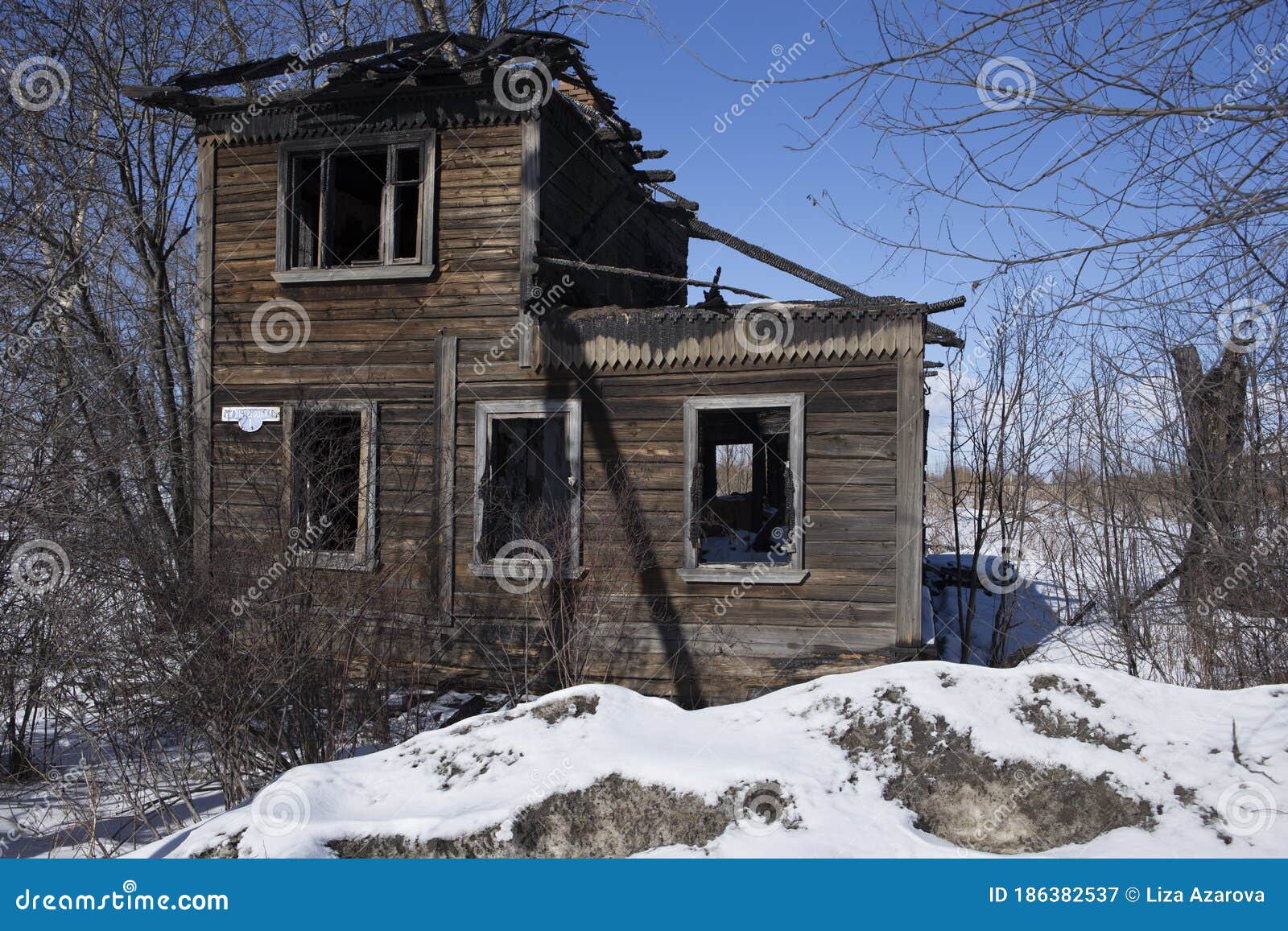 an old unkept abandonned traditonal russian wooden two floor house in ruins in winter snow surrounded by naked birch trees and