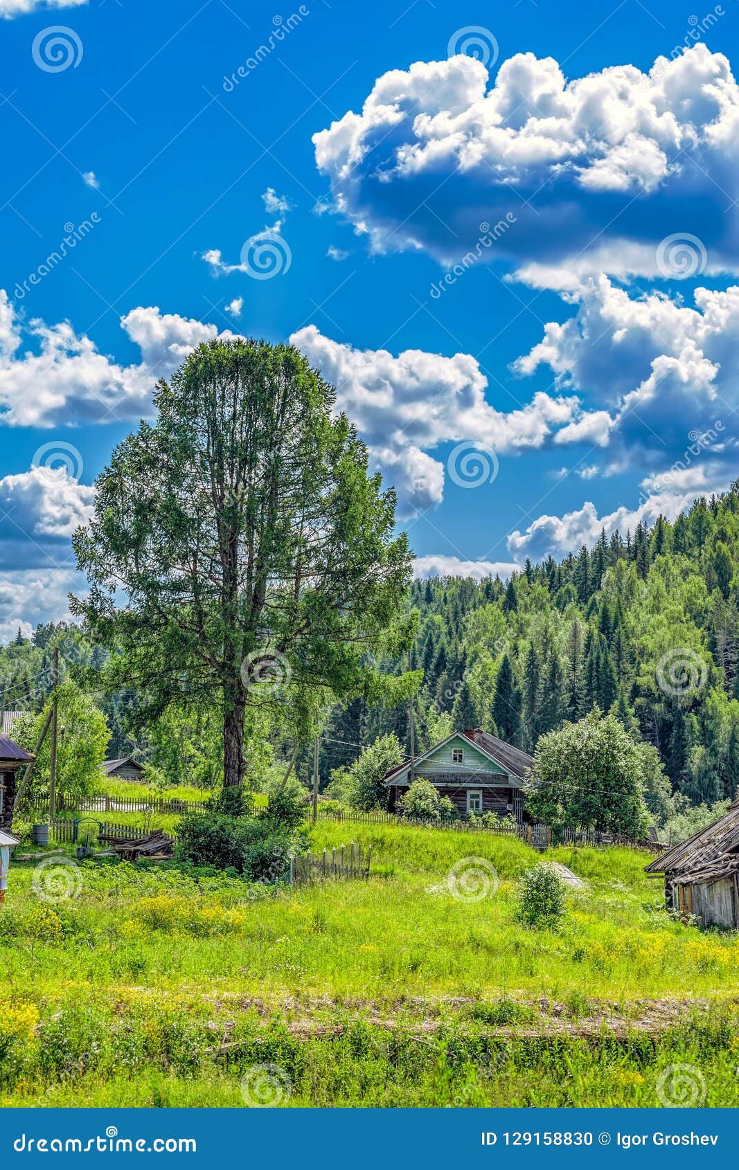 Old Village House Under Big Tree Stock Photo Image of ancient, region