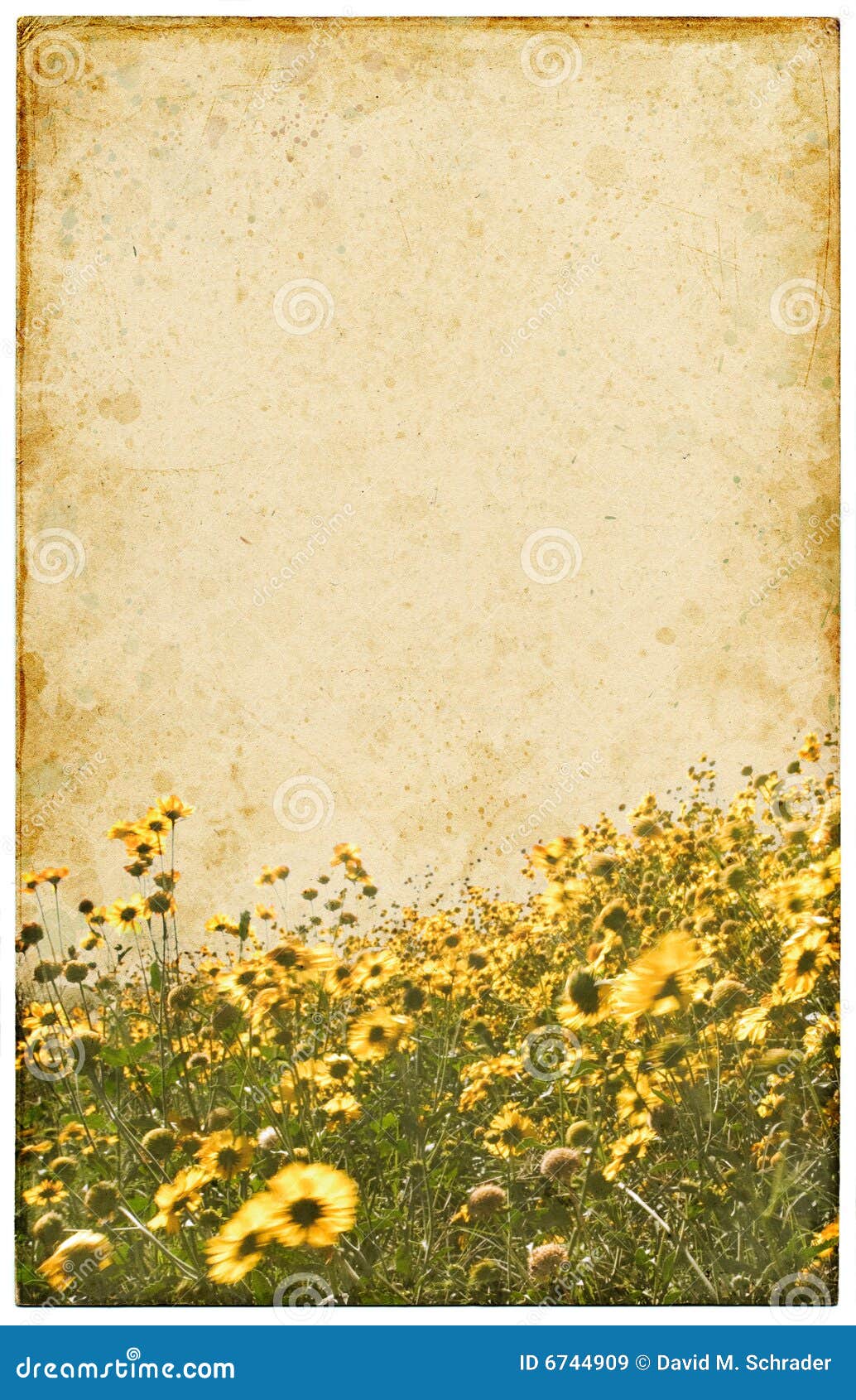 Old Vintage Flowers stock image. Image of flower, grain 6744909