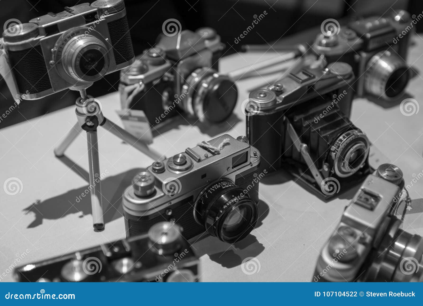 Old Vintage Retro Film Cameras In Black And White Stock Photo Image Of White Types 107104522