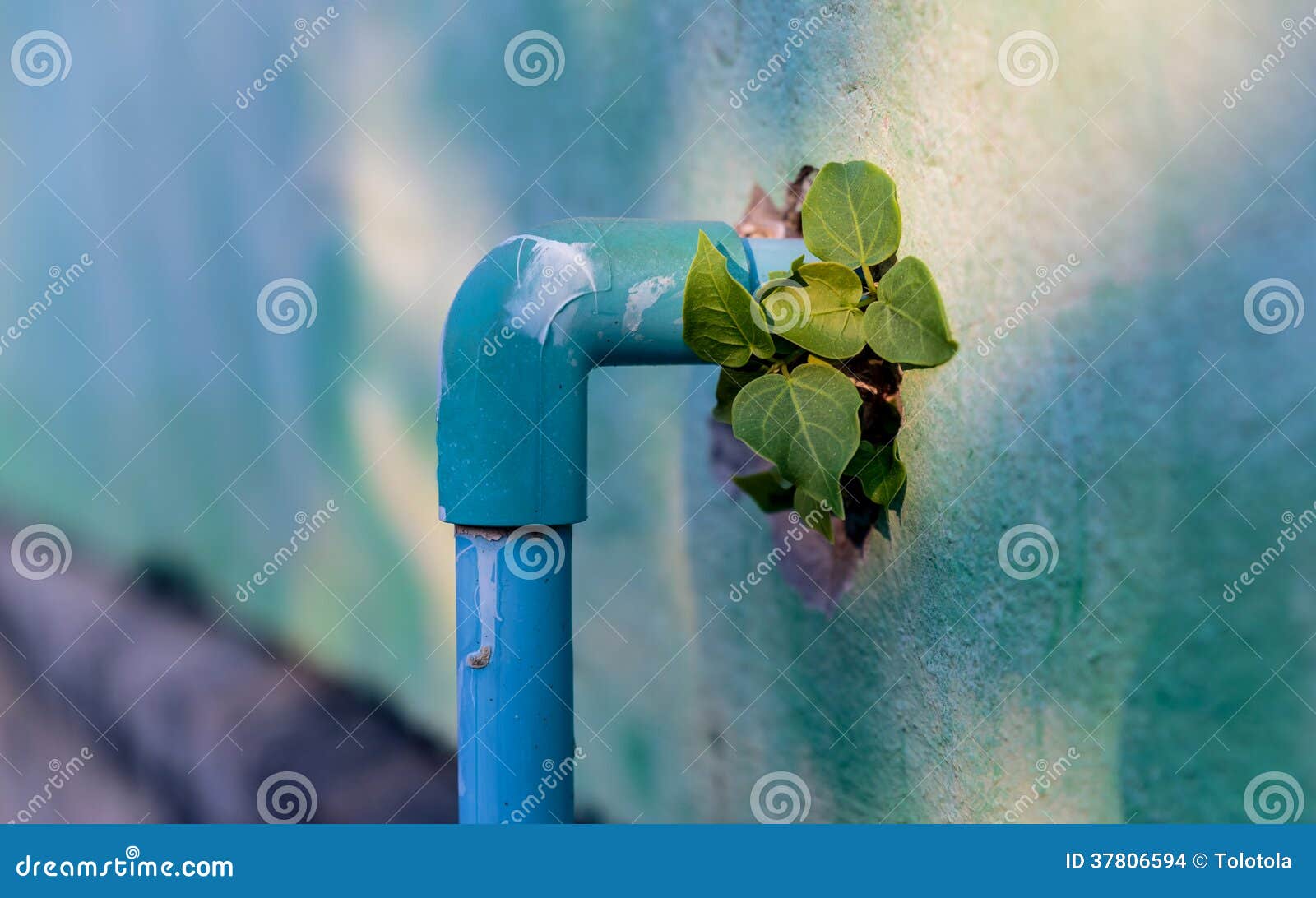 Old Wall and the PVC Water Pipes Stock Photo Image of gray, frame