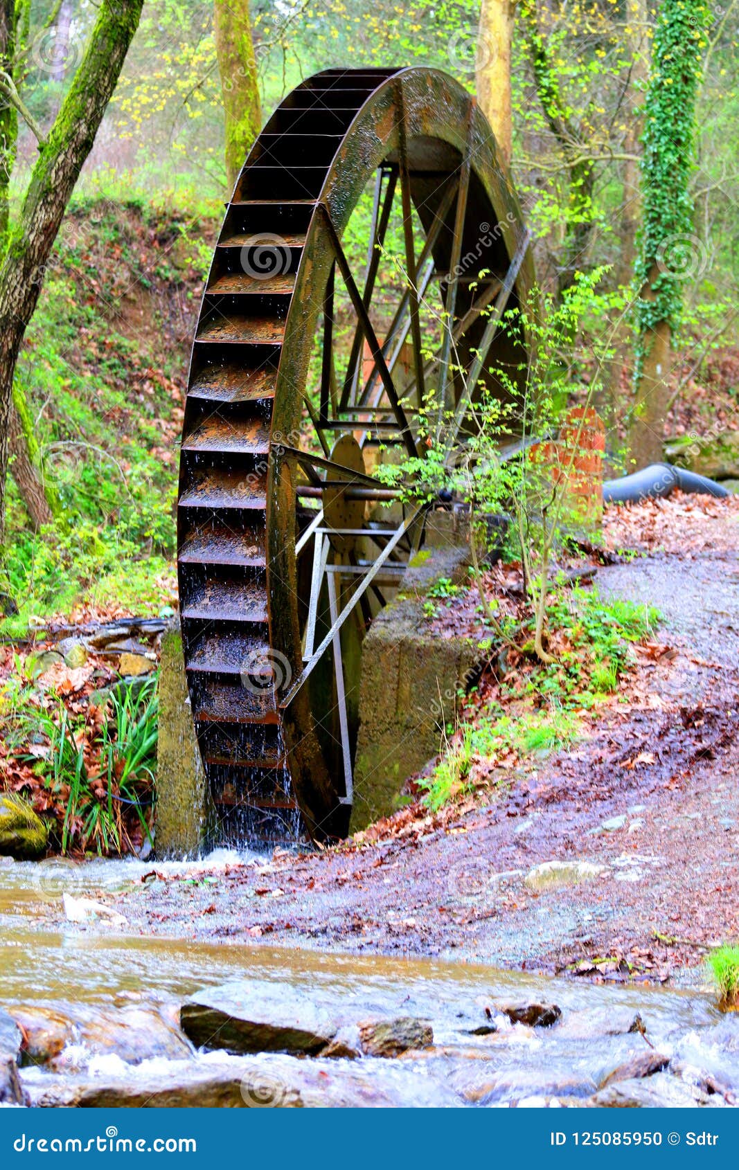 old water mill in nature