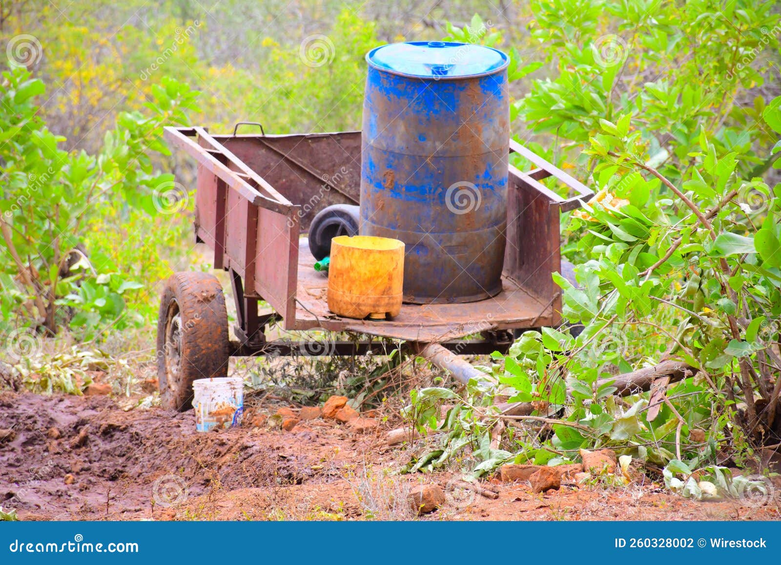 Old Water Tank Trailer in a Garden Stock Photo Image of container