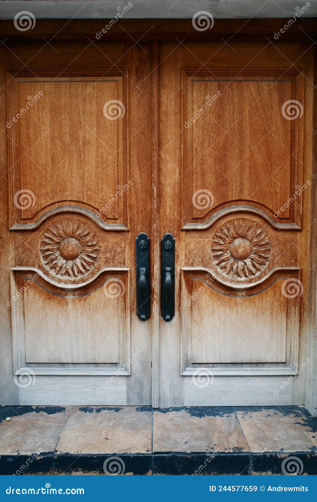 traditional double door designs