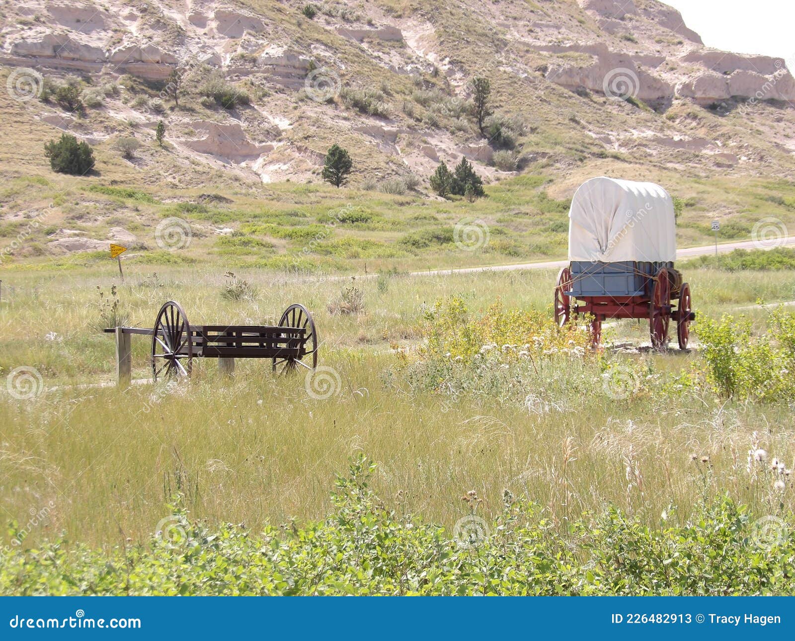 Old Western Wagon Carriage on a Trail Stock Image Image of western, trail 226482913