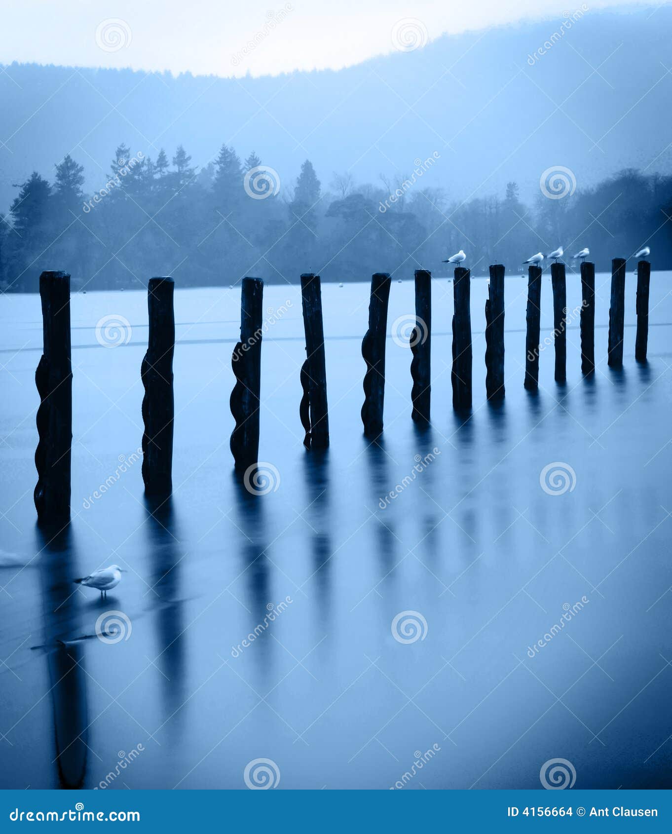 old wharf posts - artistic