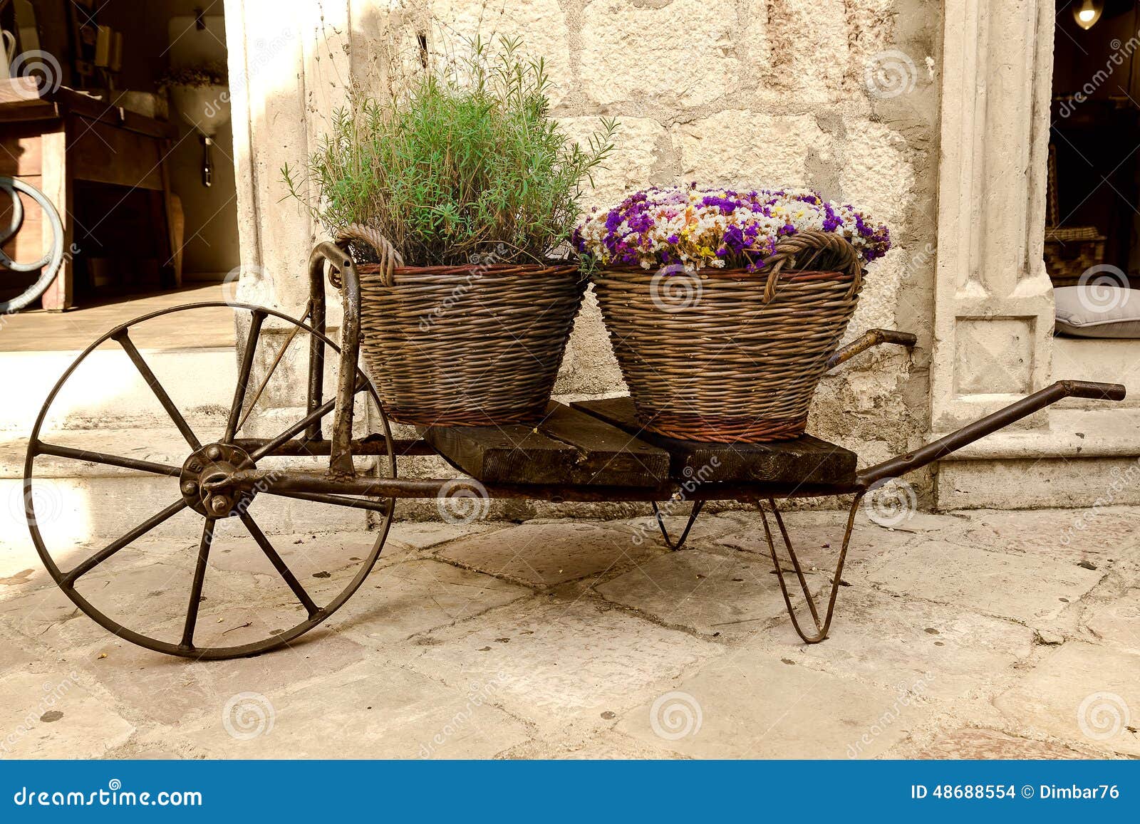 Old Wheelbarrow with Baskets of Flowers Stock Photo Image of bloom