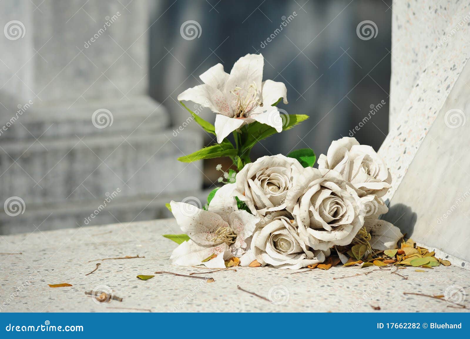 Old White Fake Flower on Grave Stock Photo Image of dirty, dust 17662282