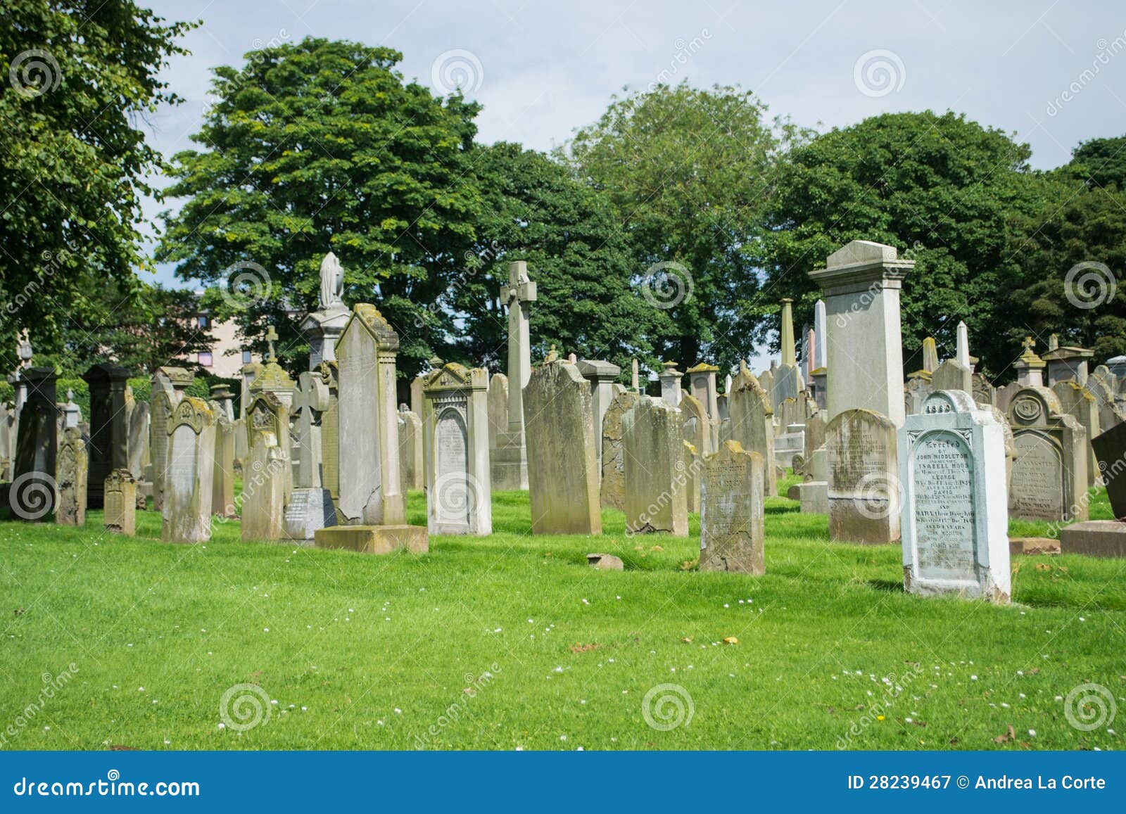 Old White Tombstones in a Cemetery Editorial Photography Image of