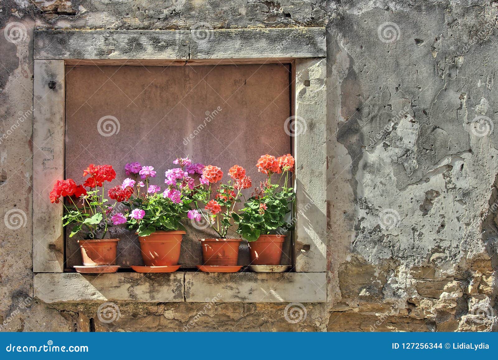 Old Window Filled With Colorful Flower Pots Stock Photo - Image of ...