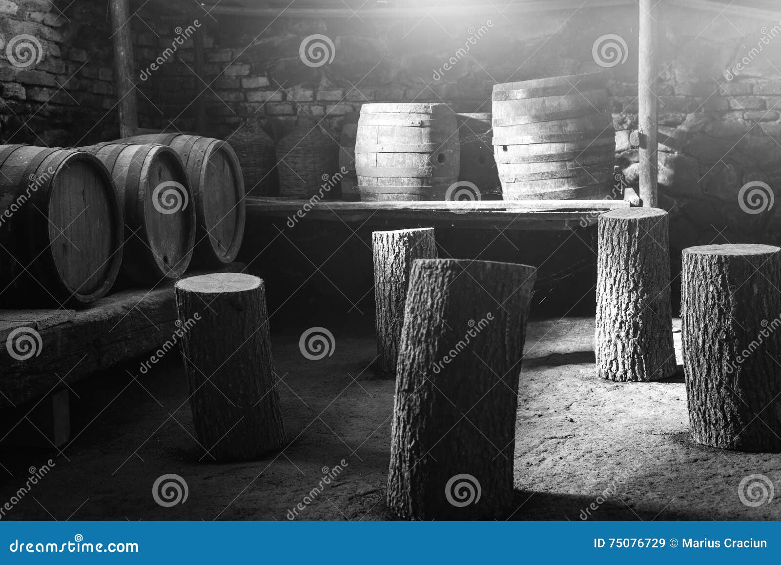 Old Wine Barrels In An Old Cellar In Black And White Stock Image