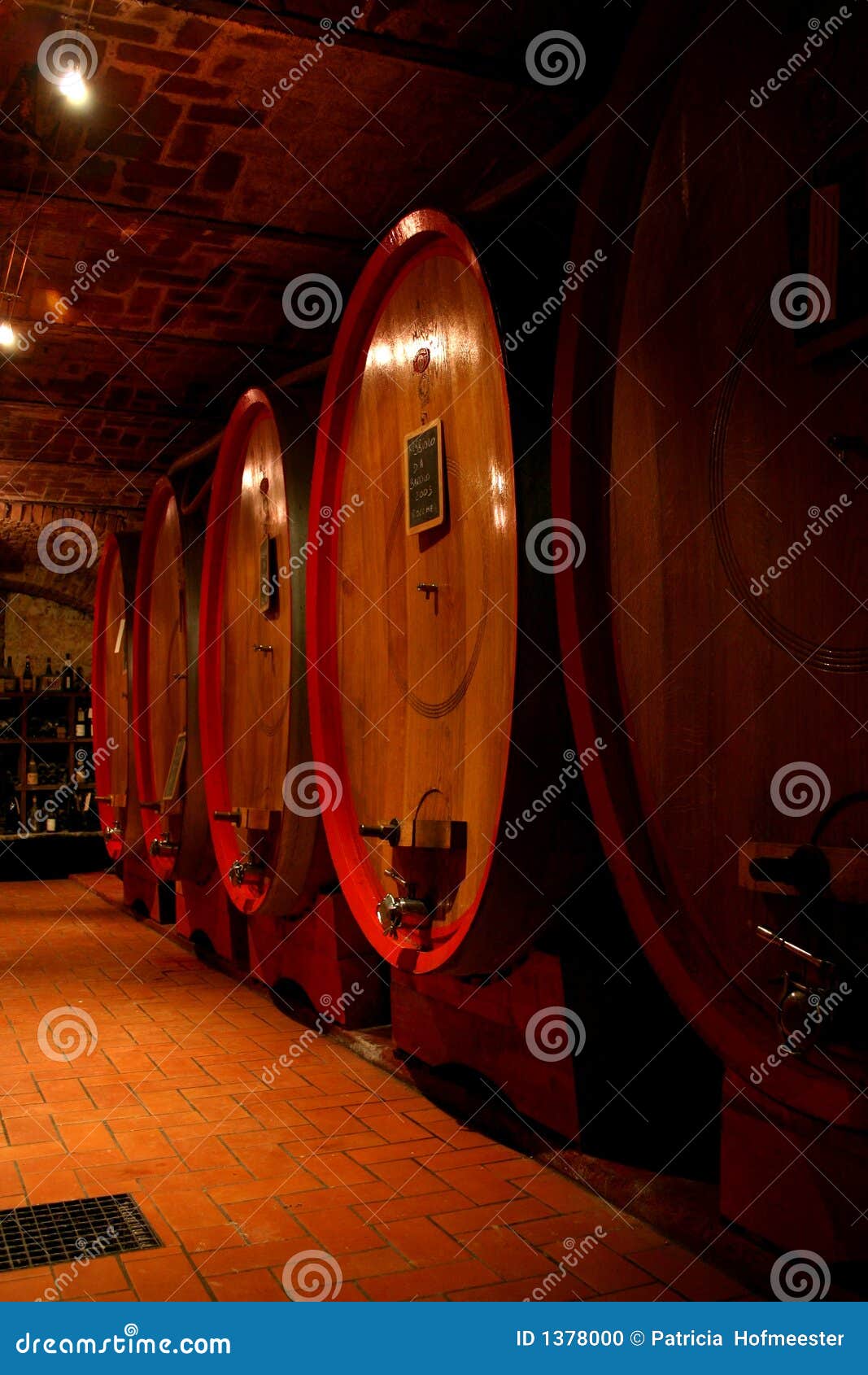 Old wine cellar stock photo. Image of barolo, italy, drink 1378000