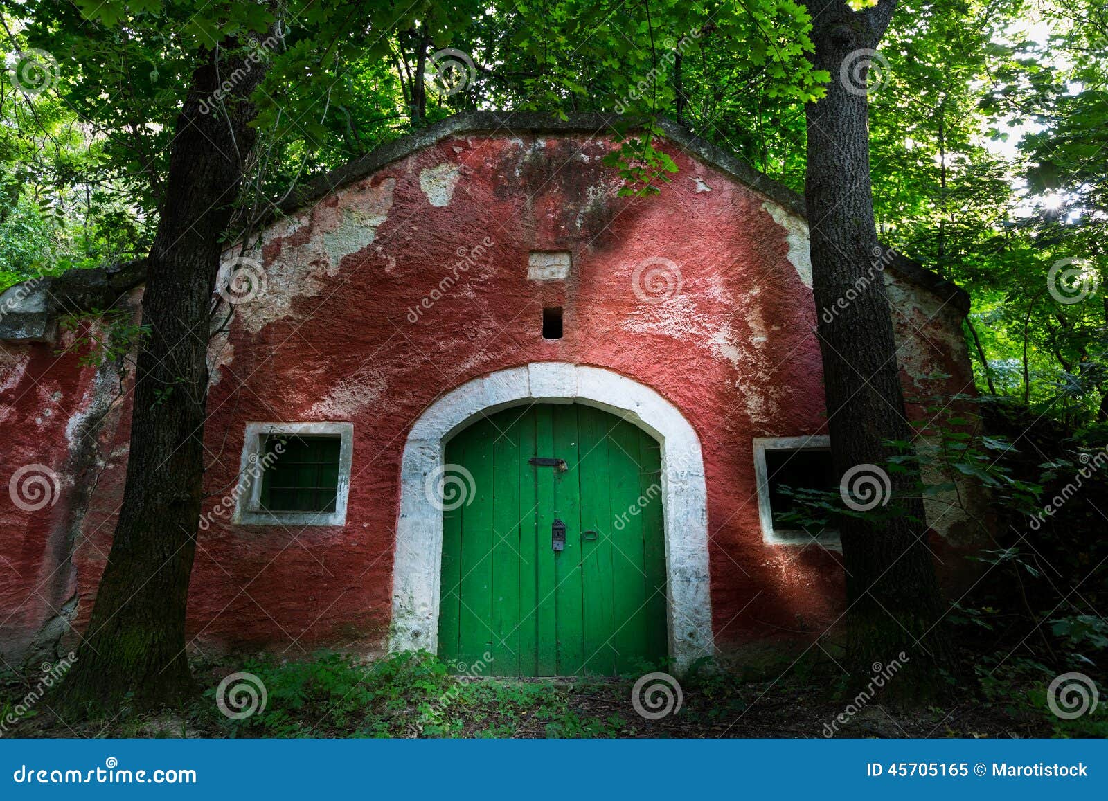 Old wine cellar door stock image. Image of dirty, outside 45705165