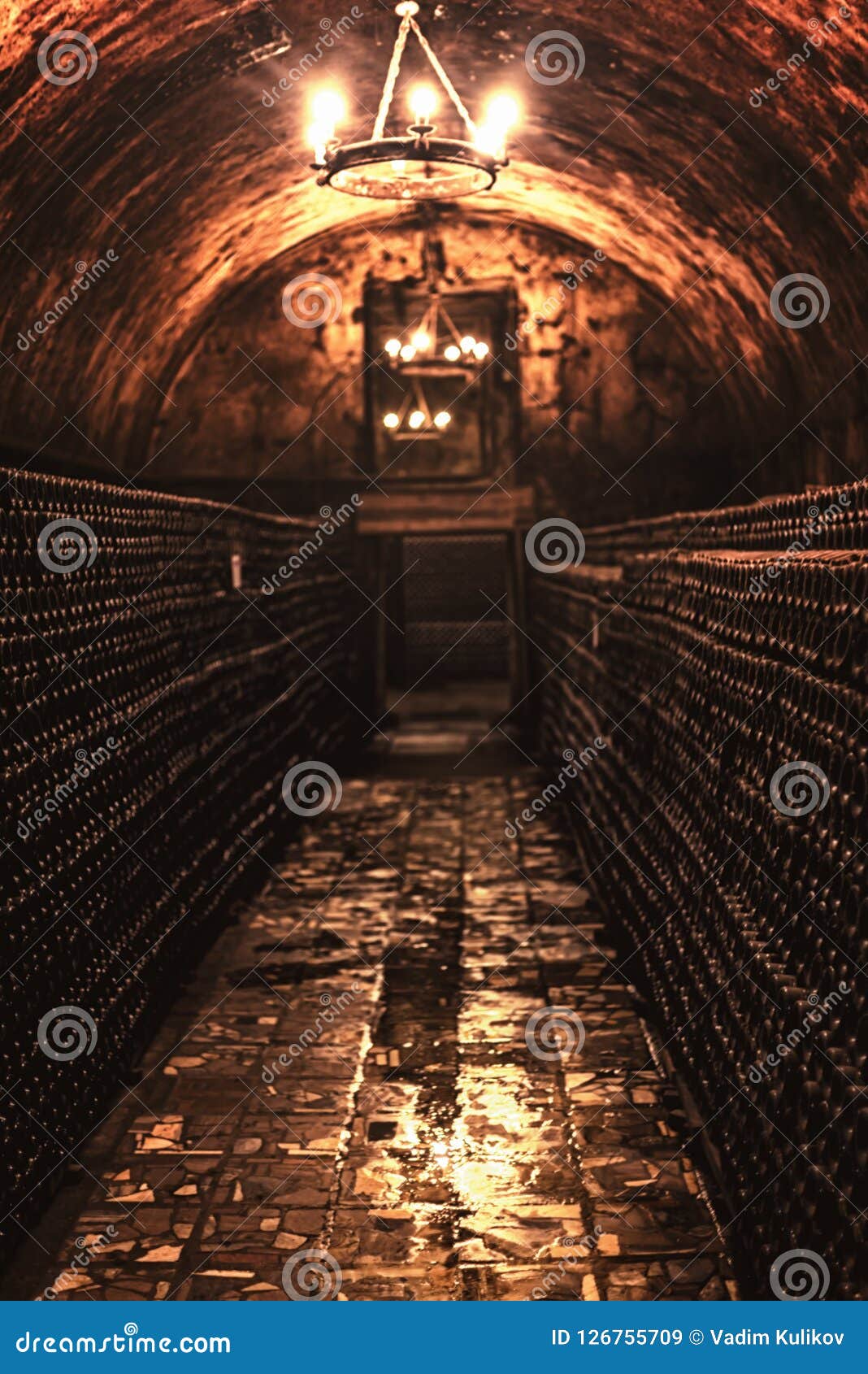 Old Wine Cellar with a Group of Wine Bottles Stock Image Image of