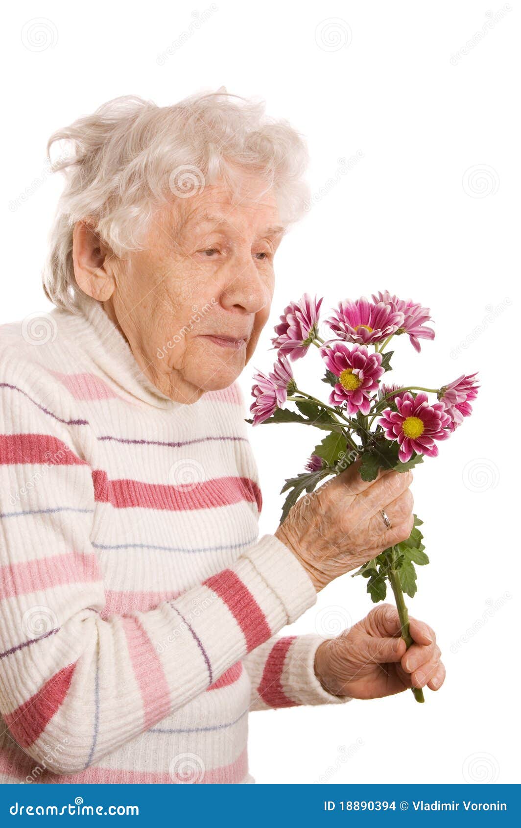 The Old Woman with a Bunch of Flowers Stock Photo Image of holding