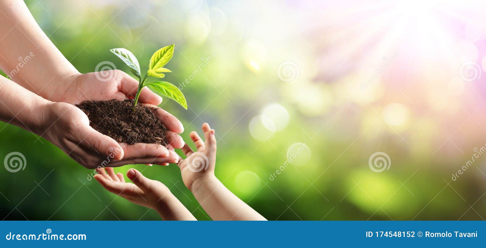 old woman giving young plant to a child environmental protection