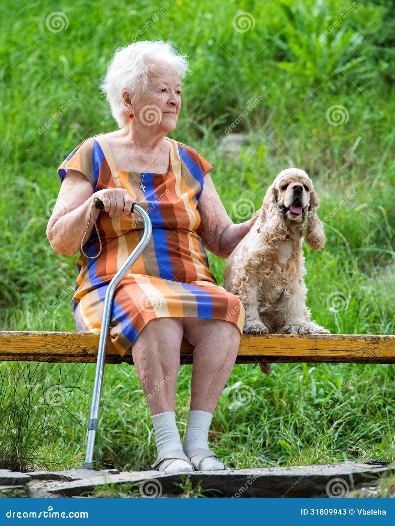2,111 Old Lady Dog Stock Photos - Free & Royalty-Free Stock Photos from  Dreamstime
