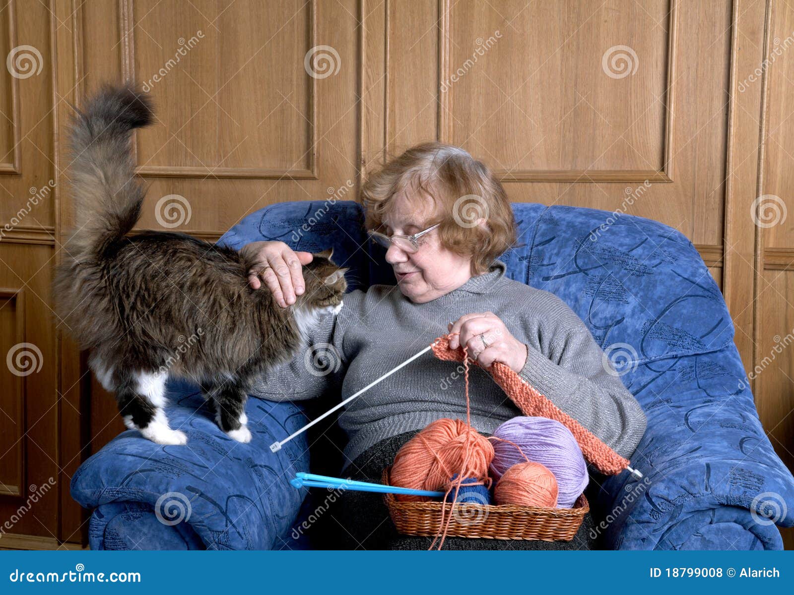 The Old Woman Stroke A Cat Royalty Free Stock Photos Image 18799008