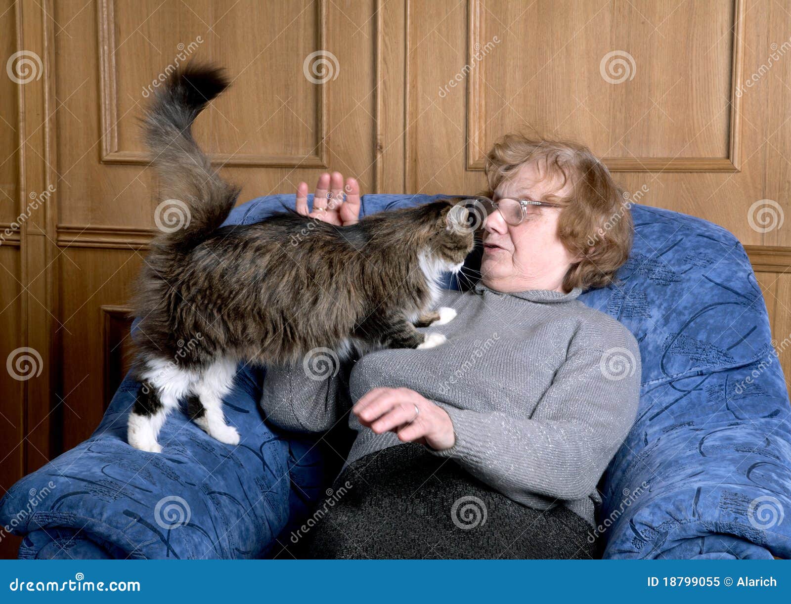The old woman stroke a cat stock image. Image of portrait 18799055